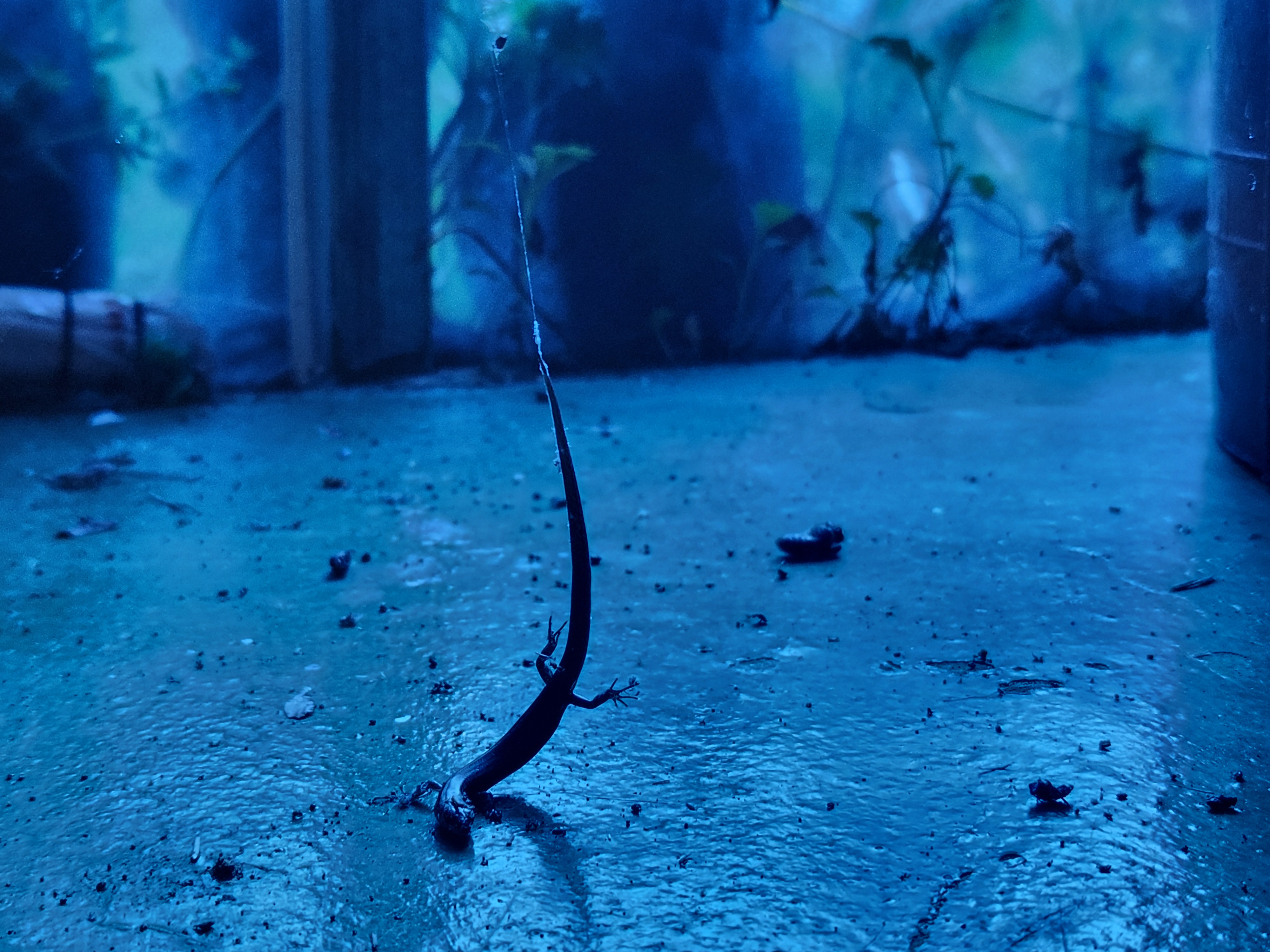 �̹��� 1:[ ������ ���� ]