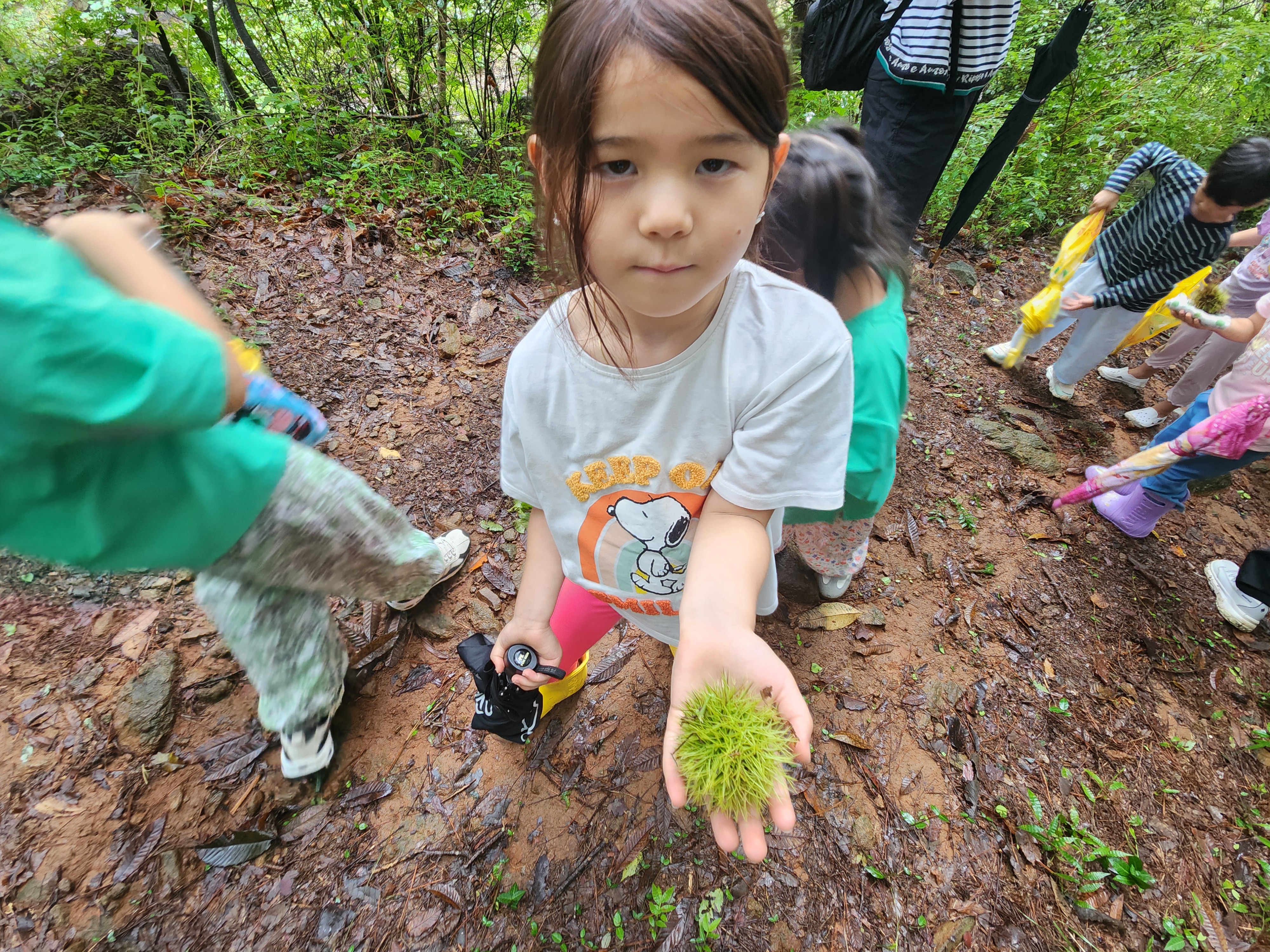 �̹��� 1:[ ������ ���� ]