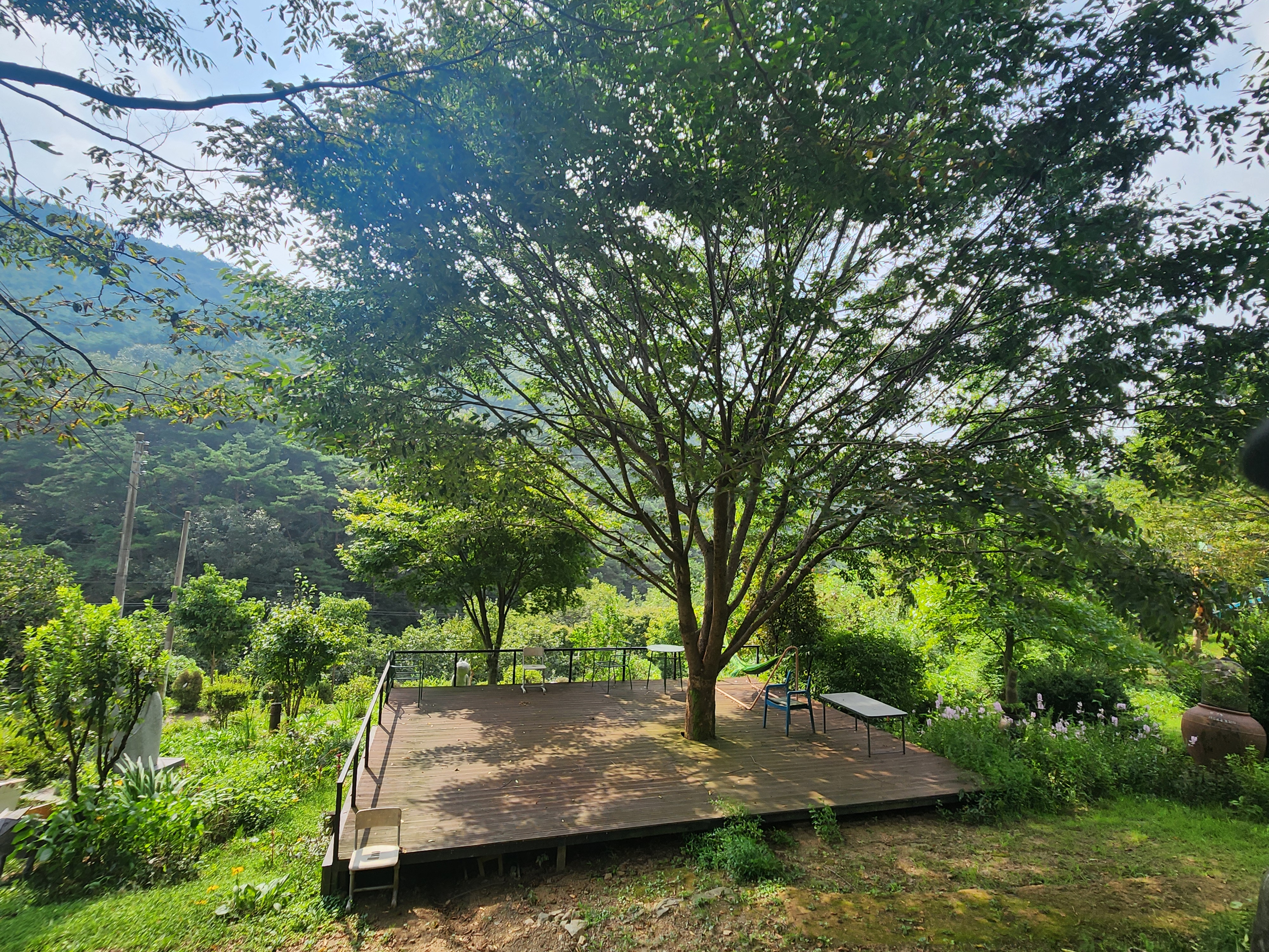 �̹��� 2:[ ������ ���� ]