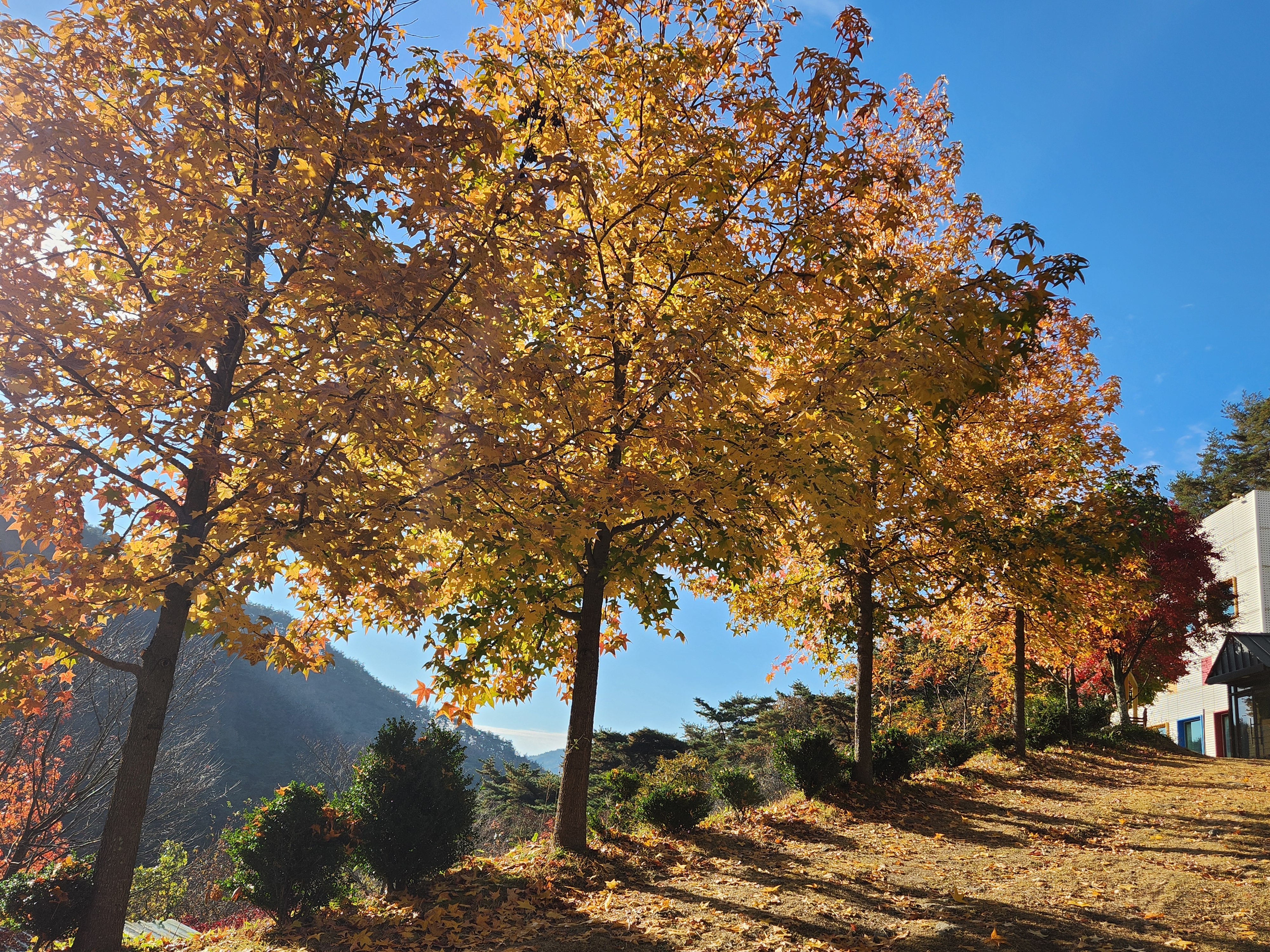 �̹��� 2:[ ������ ���� ] ������ �� ������ ����