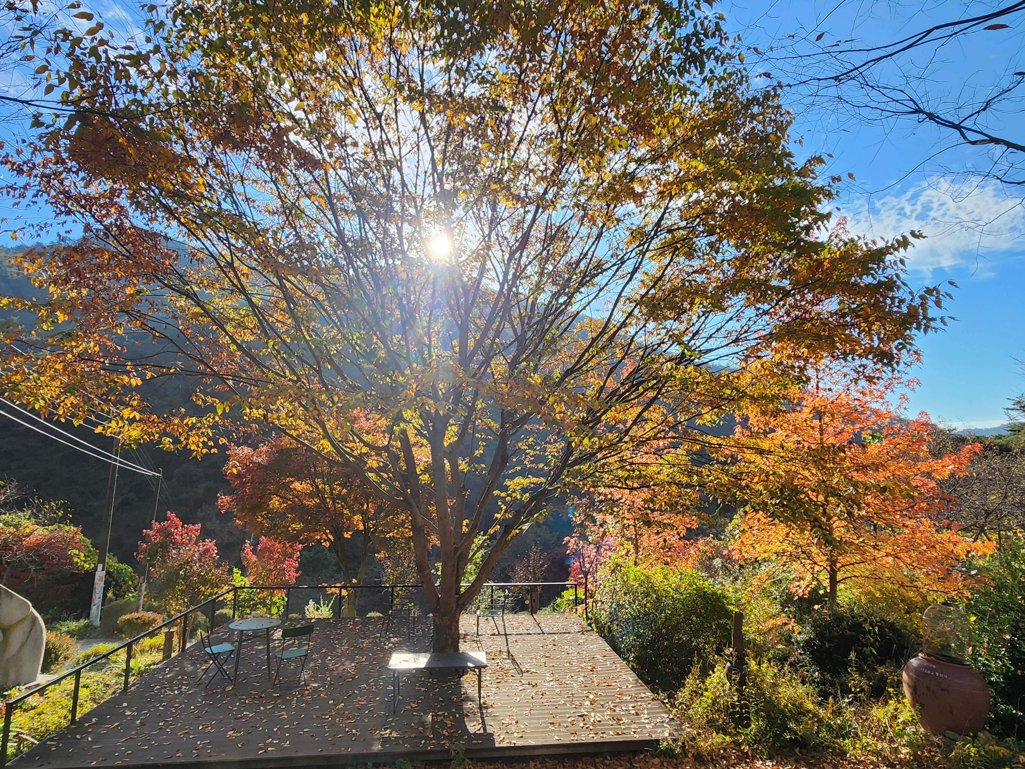 �̹��� 3:[ ������ ���� ] ������ �� ������ ����