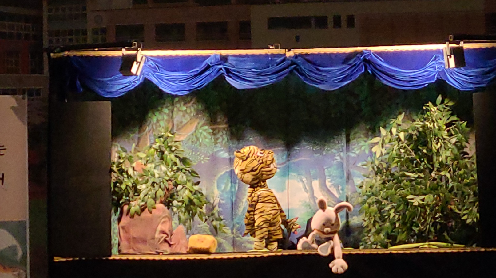 �̹��� 4:���� �밭�� �輺���۰� ���� ��  ����