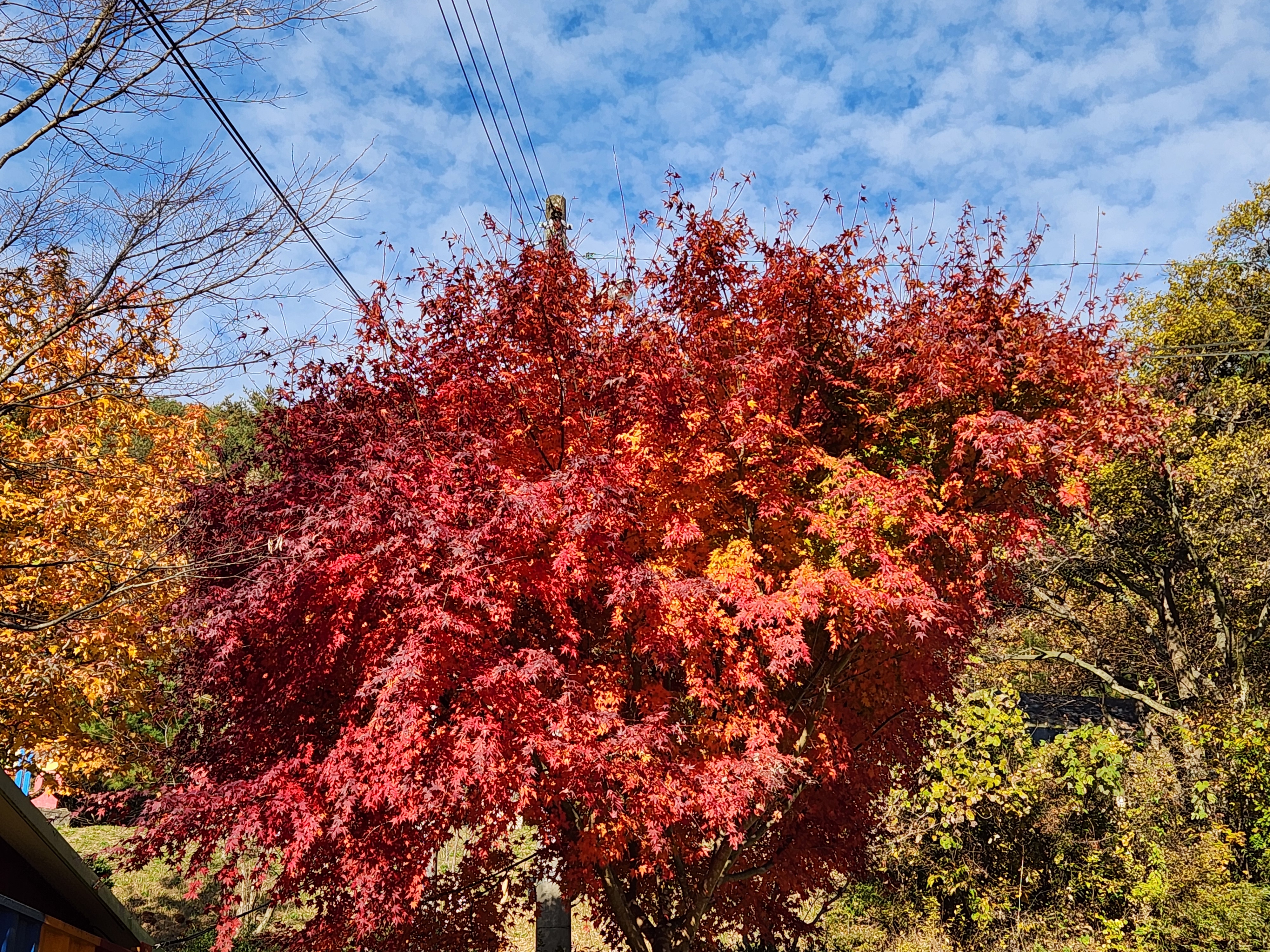 �̹��� 4:[ ������ ���� ] ������ �� ������ ����