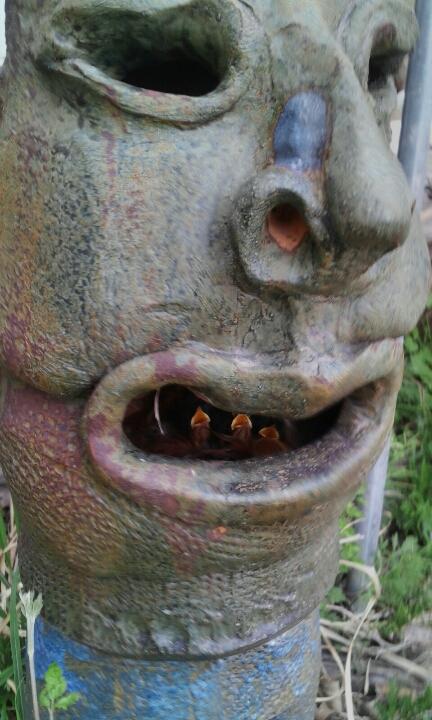 ������ �Կ� �Ʊ� ������~