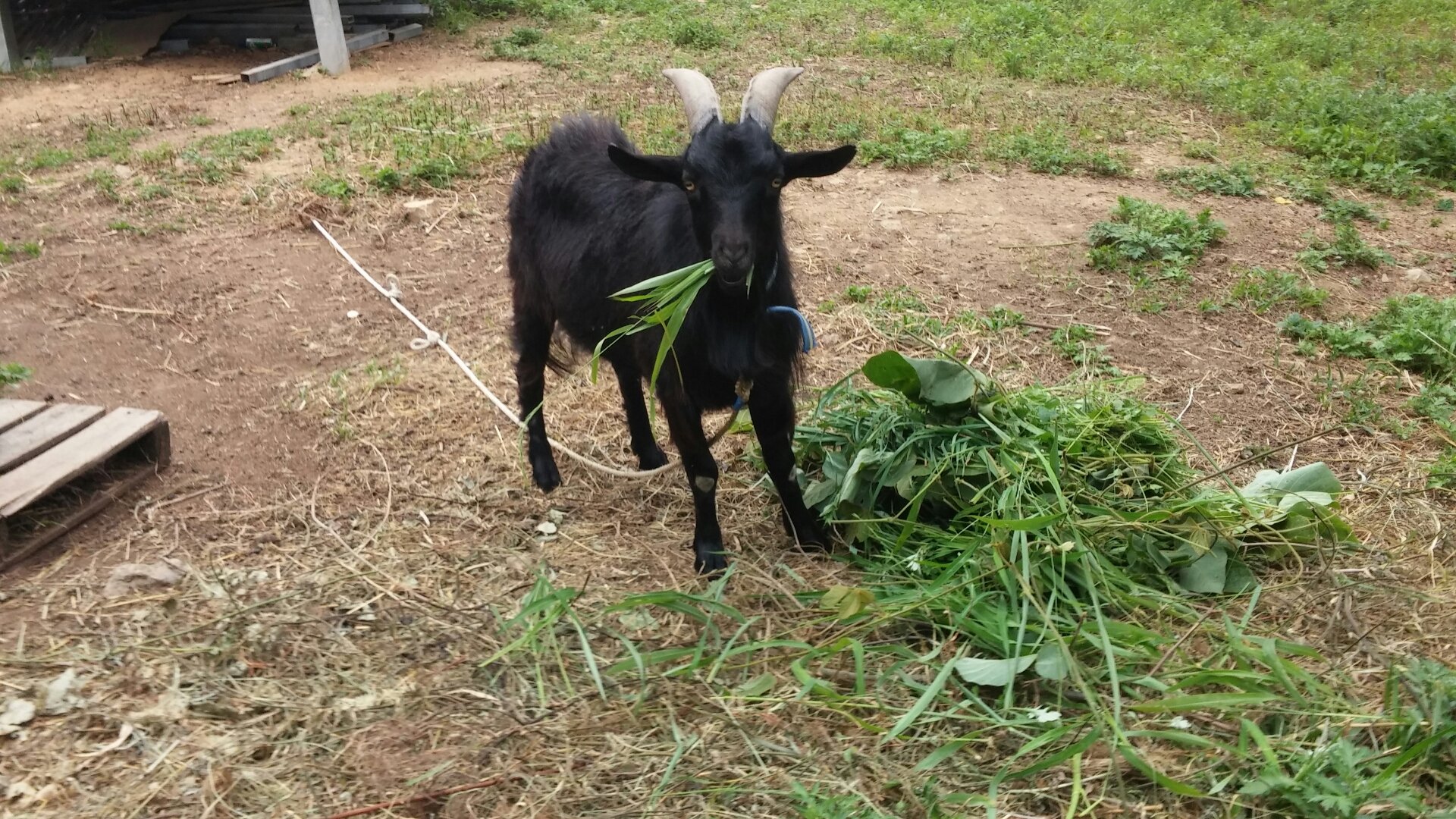 ����������