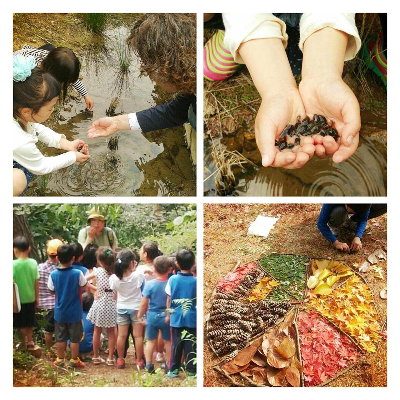 ��ü���ؿ�