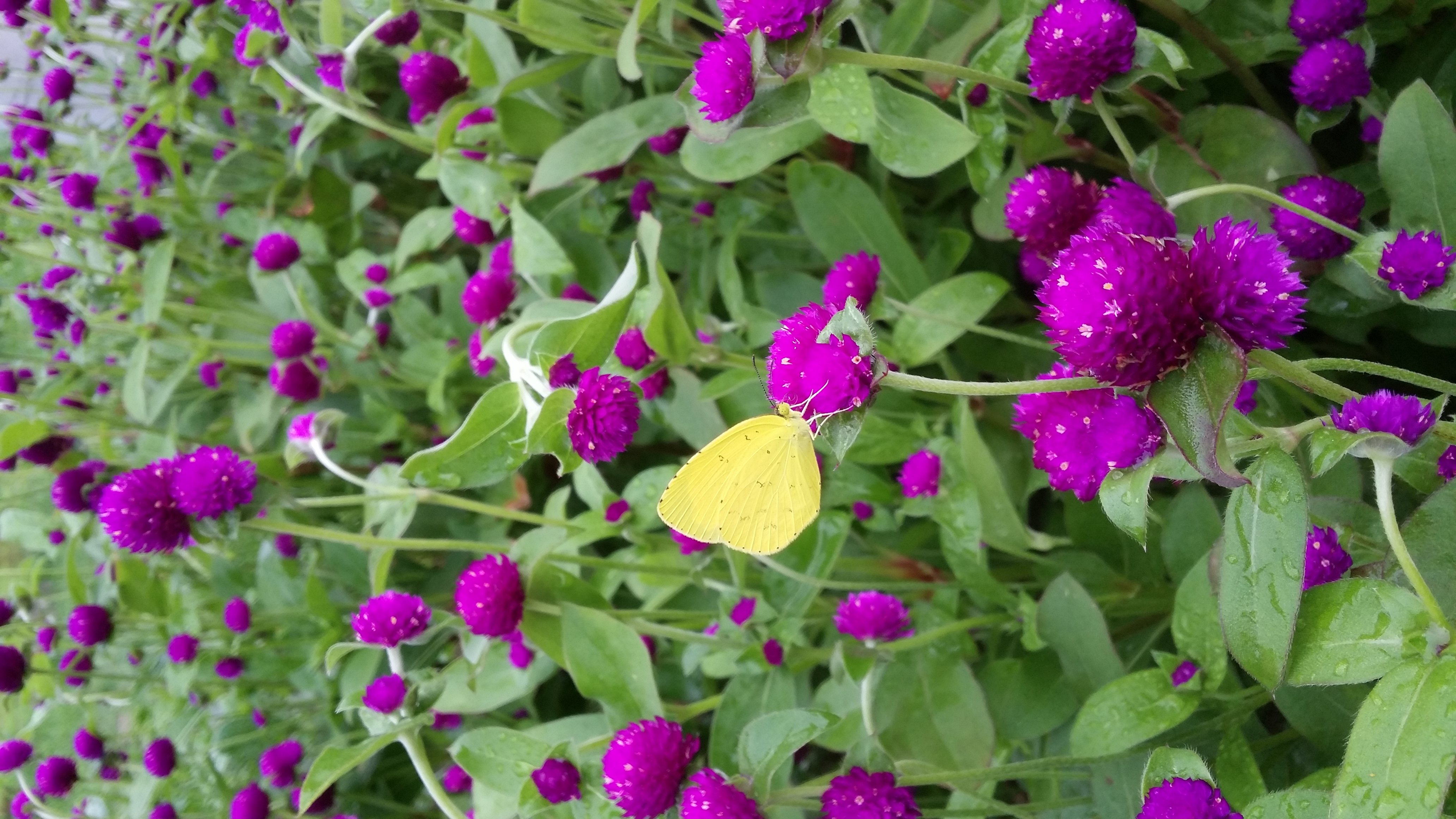 õ��ȫ�� �������