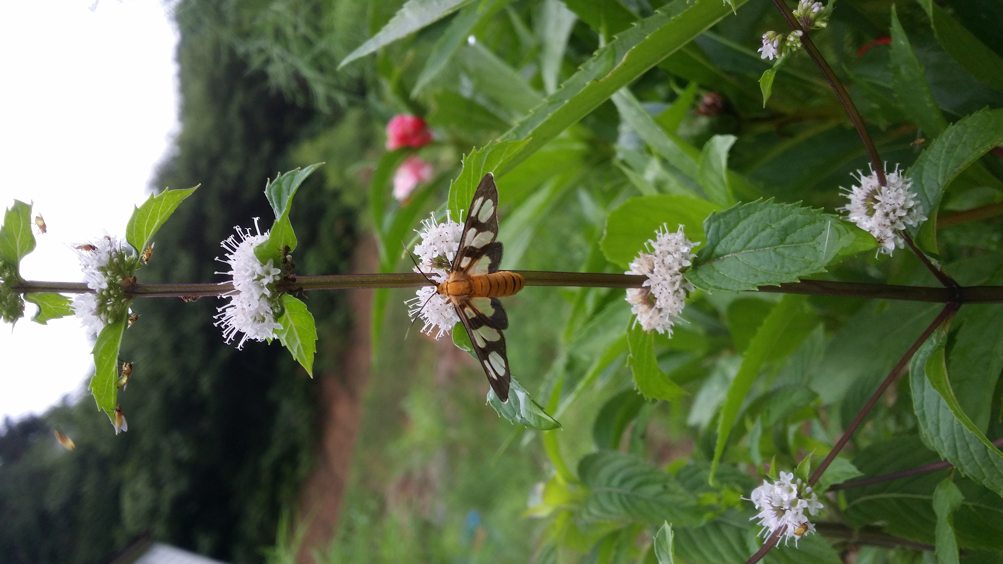 ���Ͽ� ����ֱ⳪��