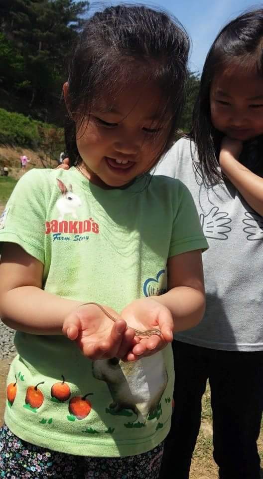 �� ������