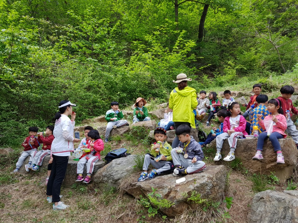 �̹��� 1:2017.5.16-��ü�豳�����