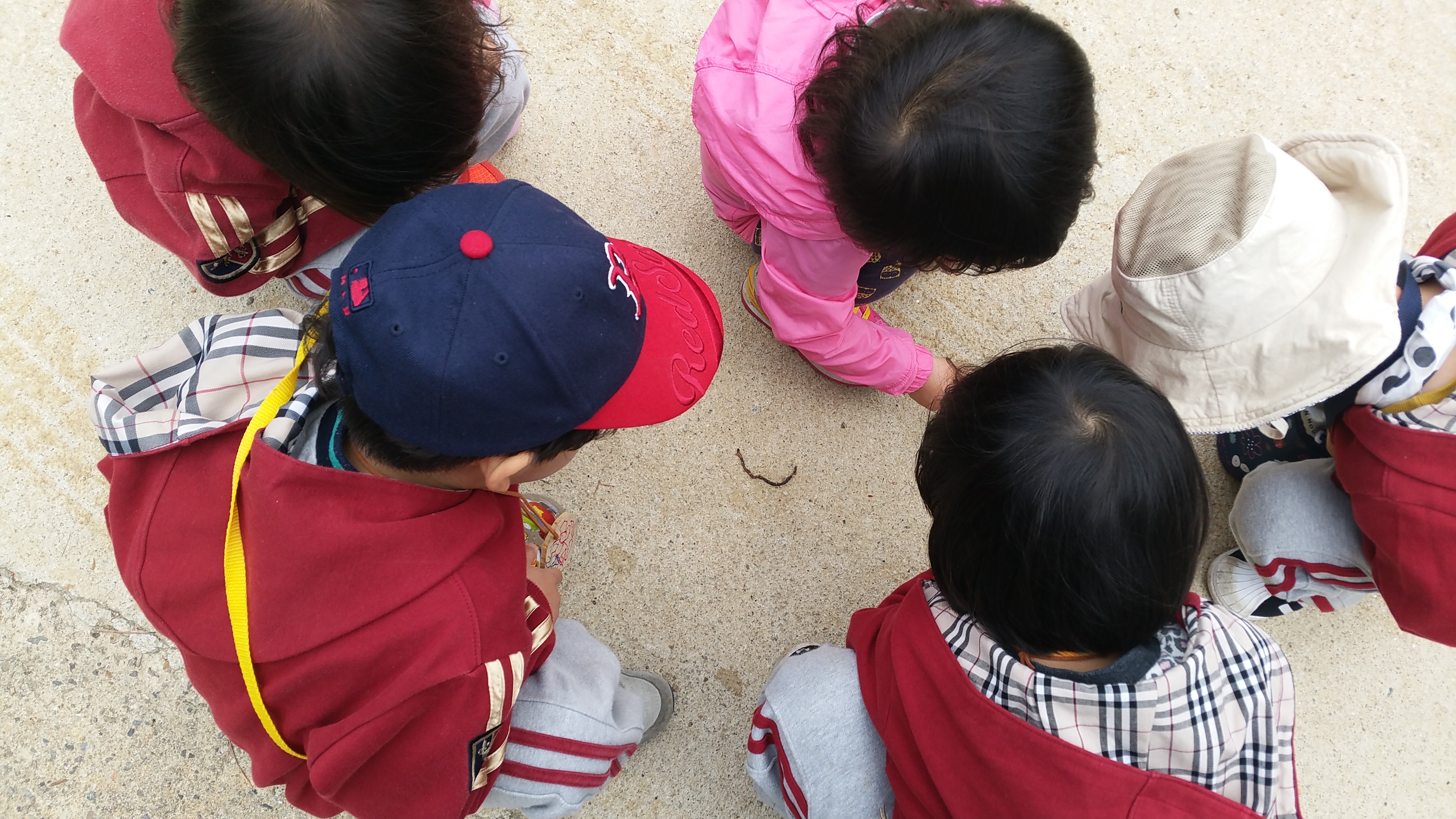 �̹��� 1:2017.4.18-��ü�豳�����