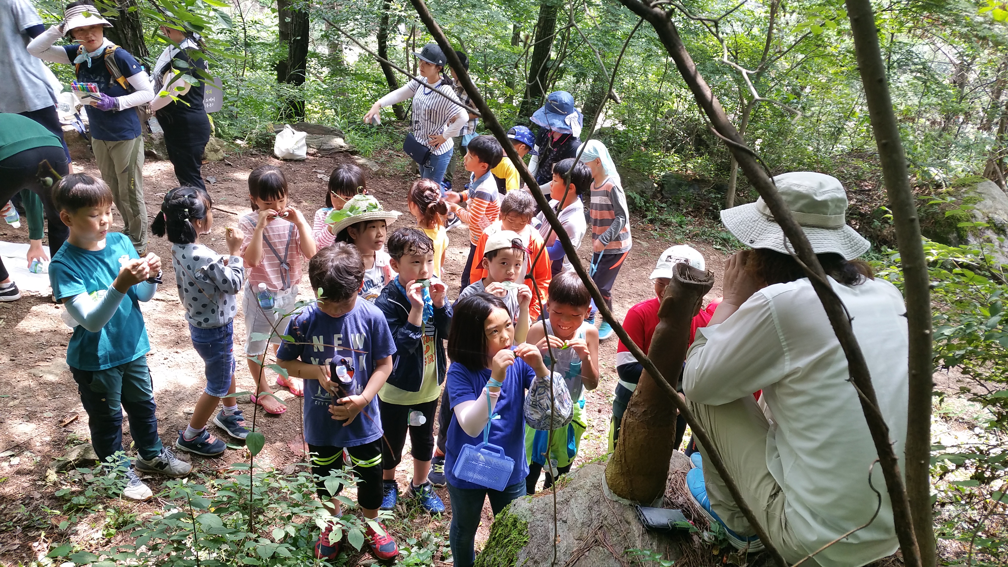 �̹��� 1:���ӿ��� �Ϸ�(���Ǳ��/����ڱ� ����) 8.1/8.10