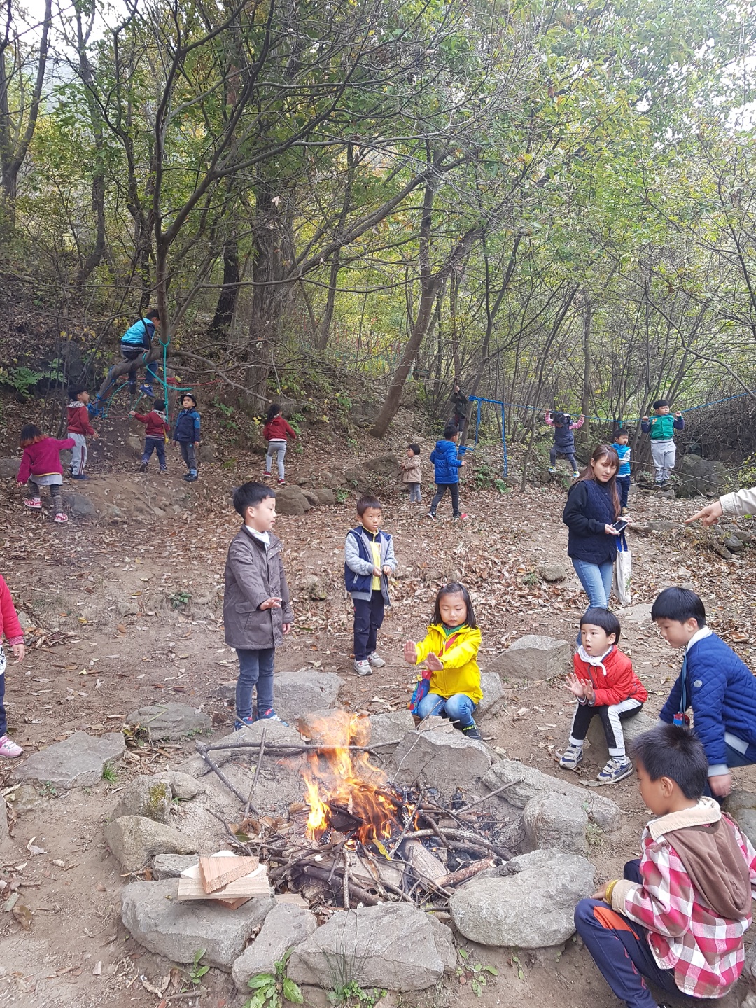 �̹��� 1:������ ����