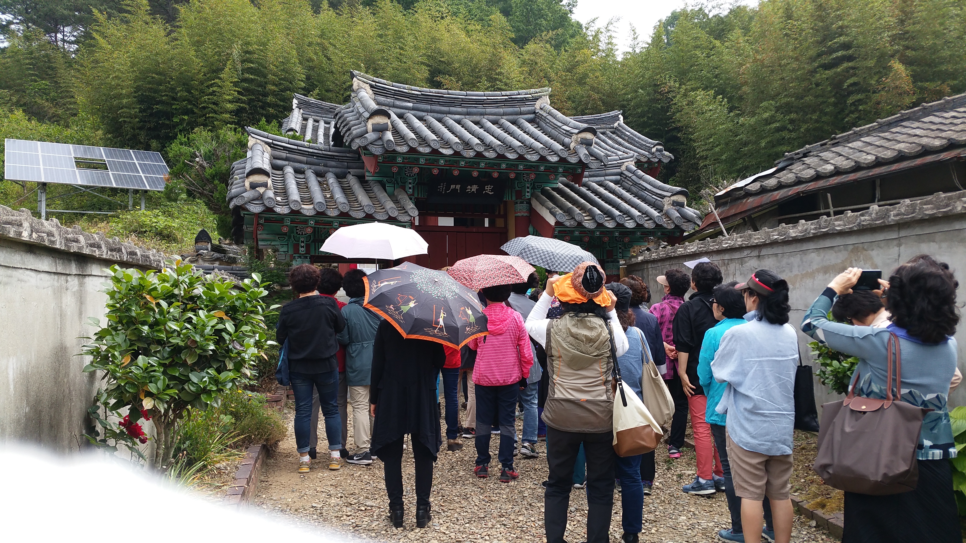 5.24 ������ȭ�� -������Ȱ���к���ȸ��