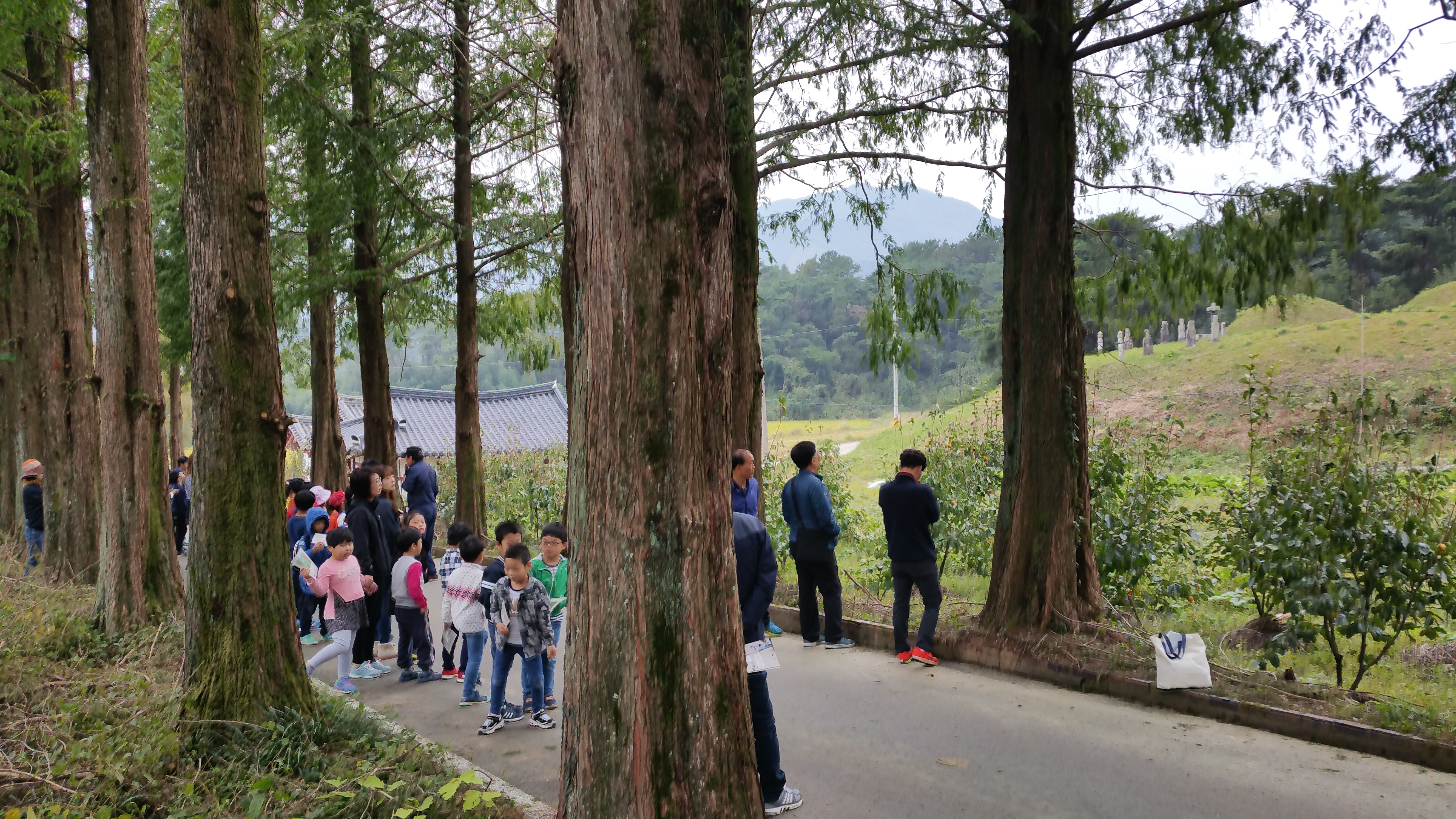 10.13-������