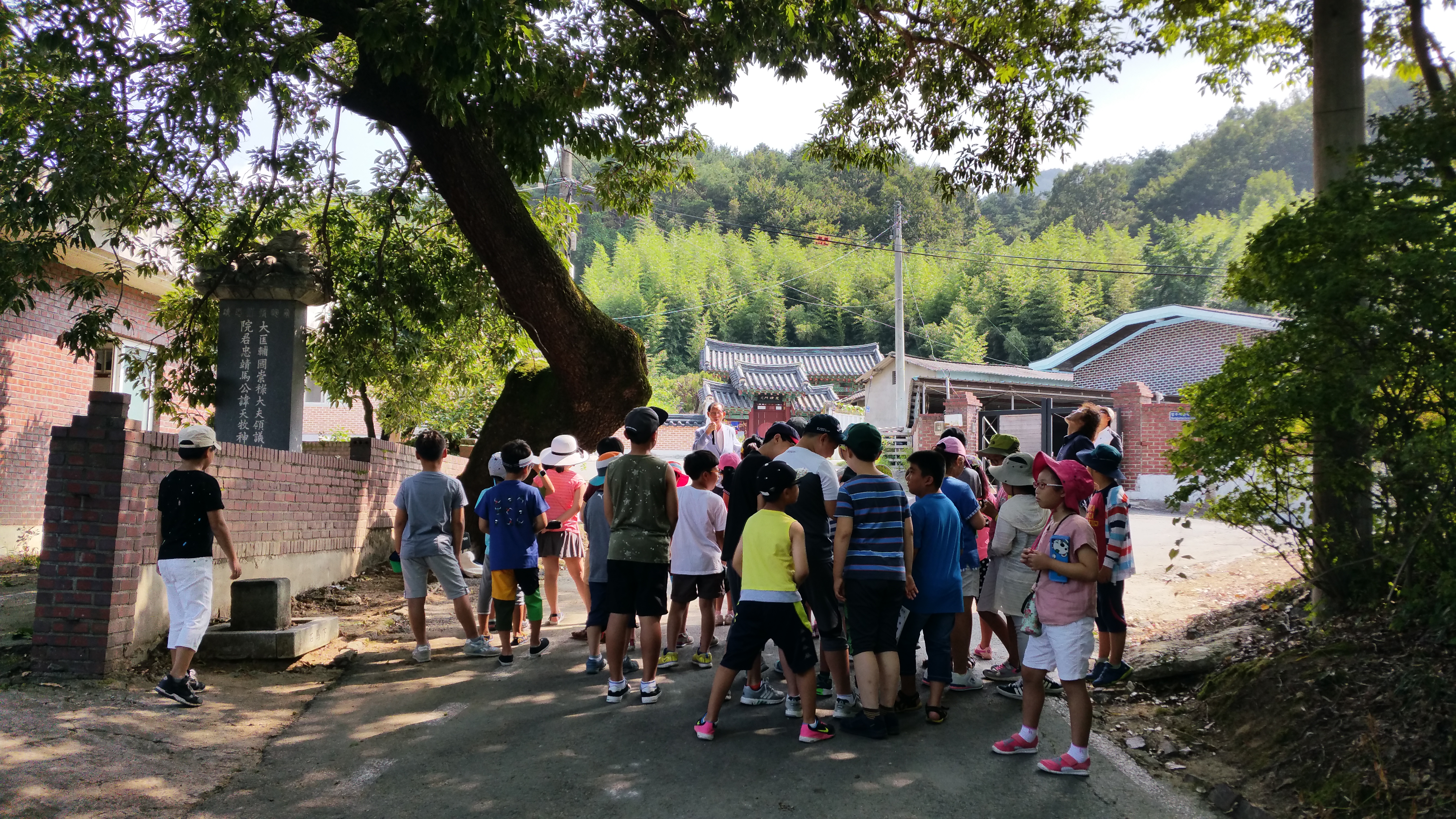 6�� ����(8.17 ������)