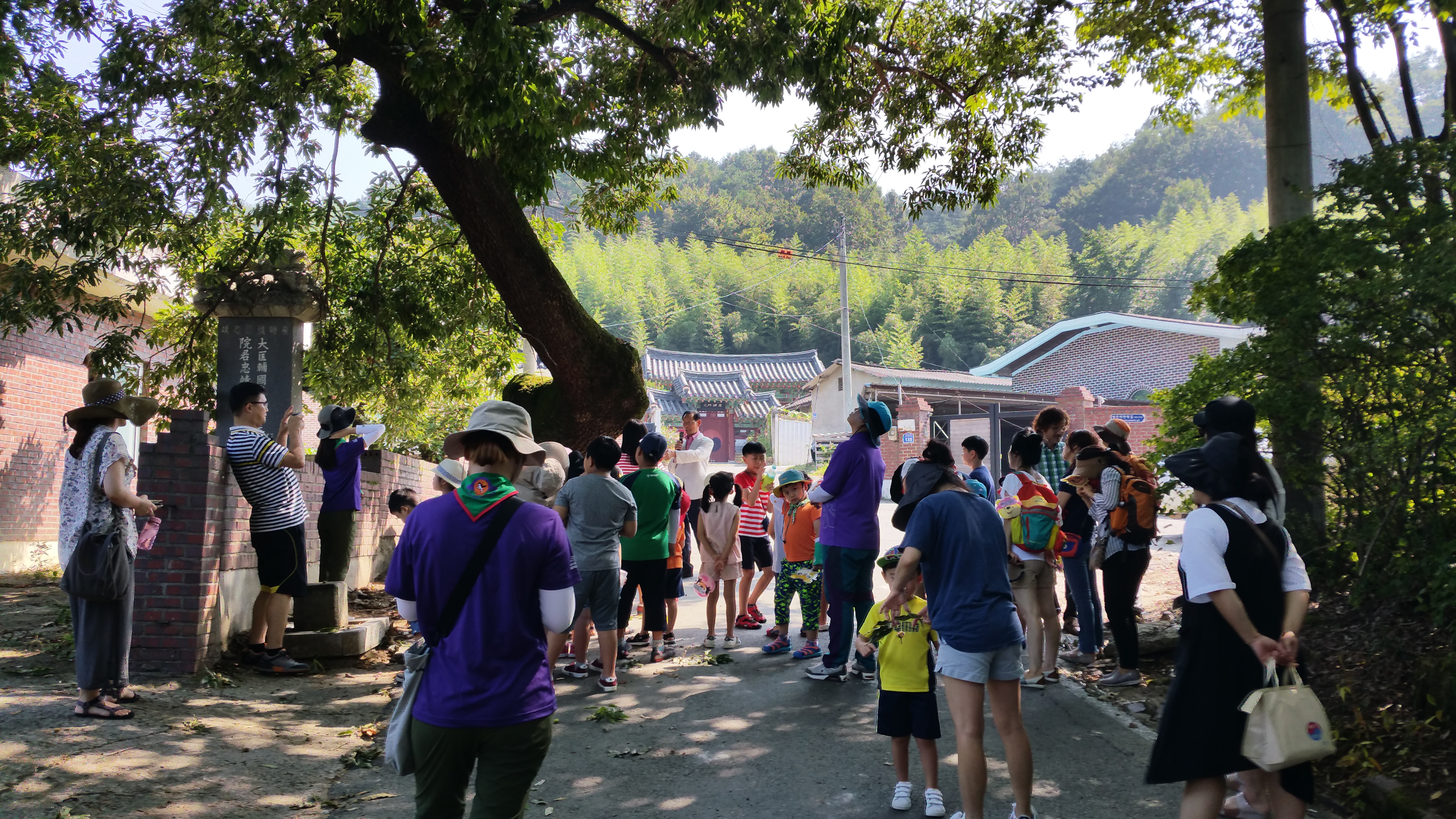 5�� ����(8.12/ ����)