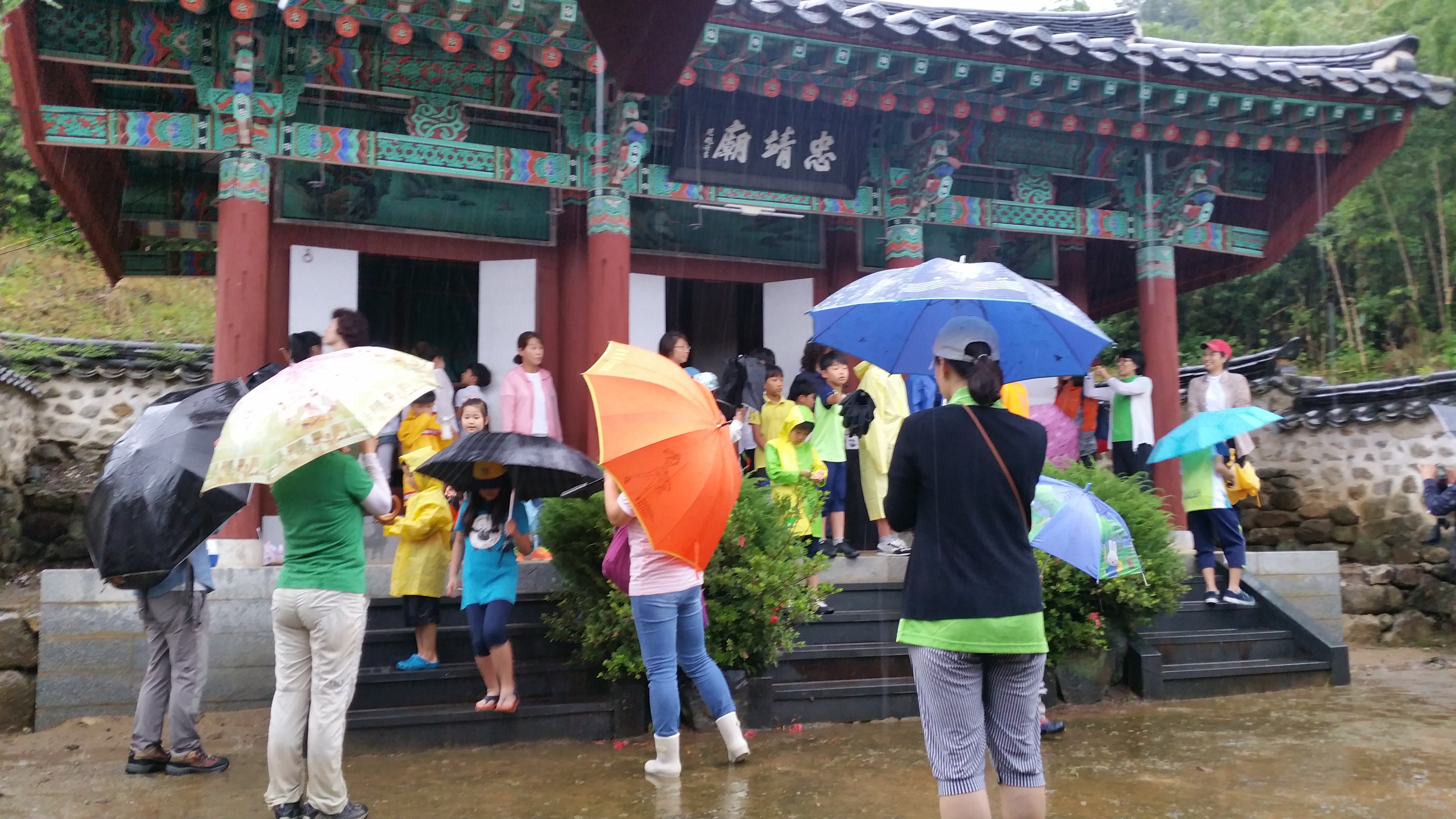 6.24 ���� �׸�����������