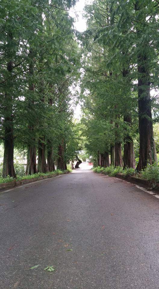 7���� ���� �ؿ���. ��� �Ƶ���Ÿ