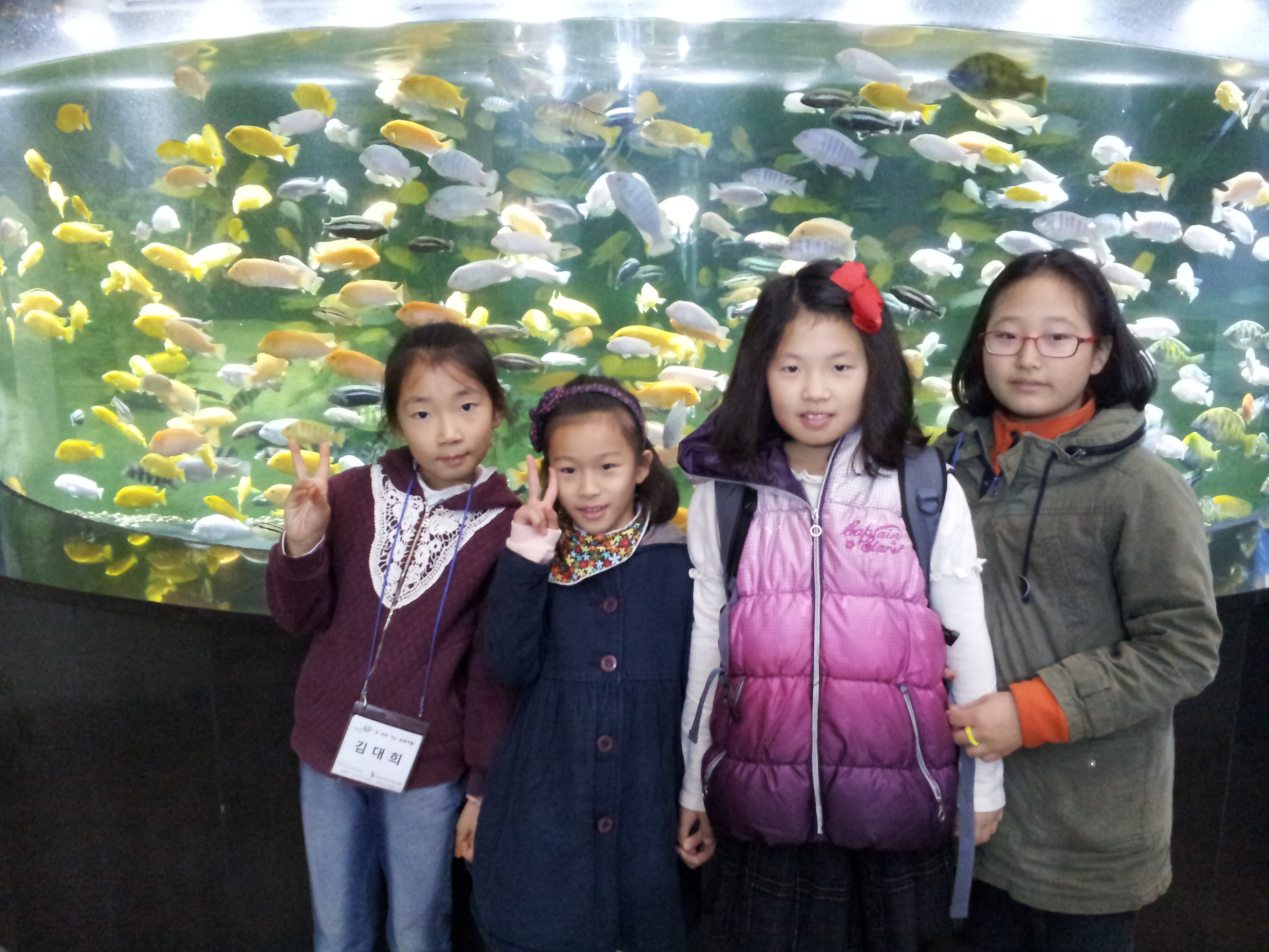 28ȸ��(2014.11.8) ���� ������ Ž��