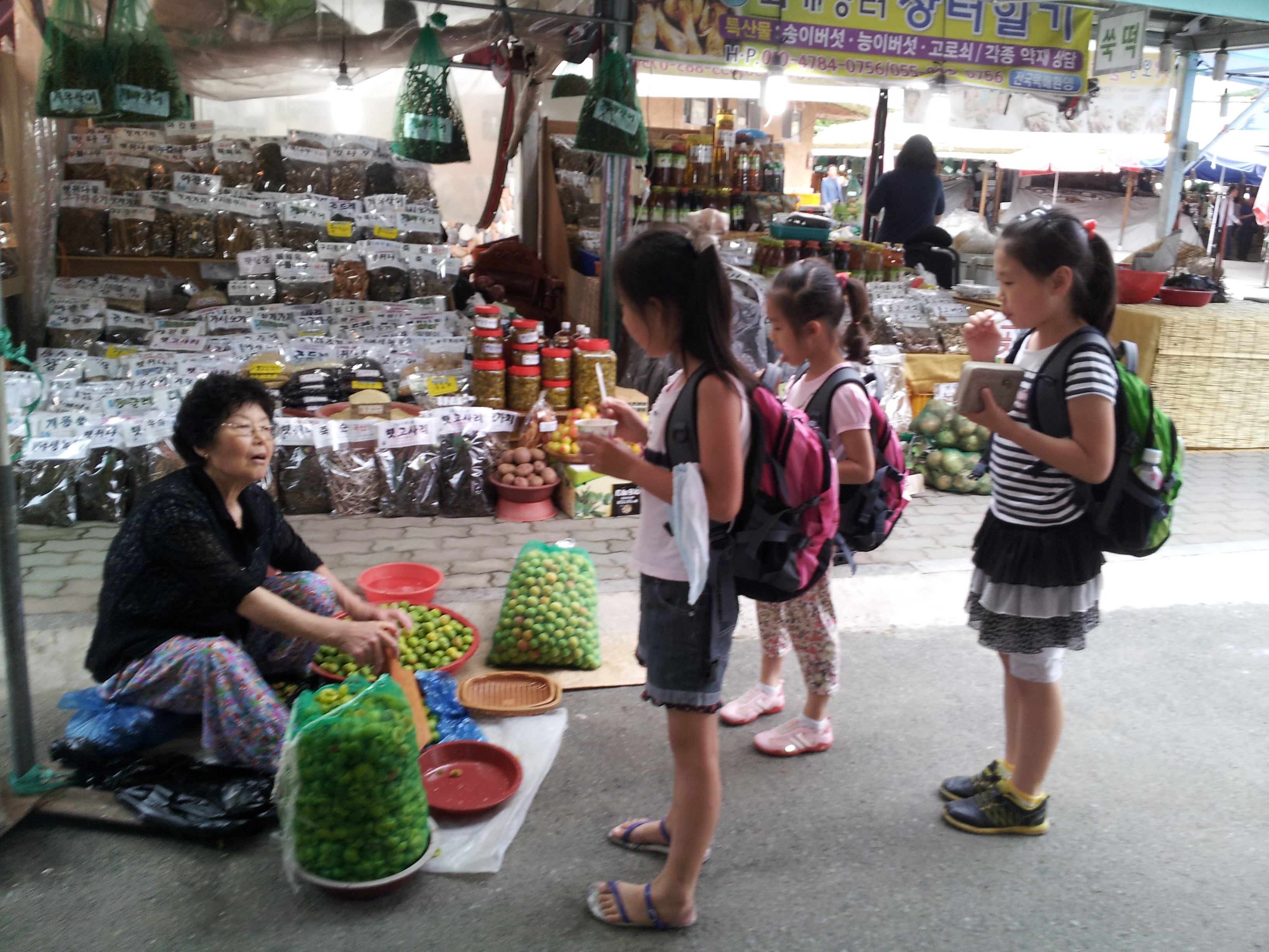  - ���� ����: ���ؼ������Բ�(������ �Ϸ� Ž��)<br />
     - ���� ���: ��ٱ���<br />
     - ���� ���γ���: <br />
       1. �ְ�� �ѷ�����(�ֺ�ȯ�� �� �ڿ�����)<br />
        2. ȭ������ �屸��(�̼�(���尣���� �������/���ǰ� ��ƺ���/�庸��<br />
           �忡 ���� ���� ��깰 �˾ƺ��� ��)<br />
        3. ��縮 ����(��ü��/ �Ϸ��� Ư¡ �����ϱ�)