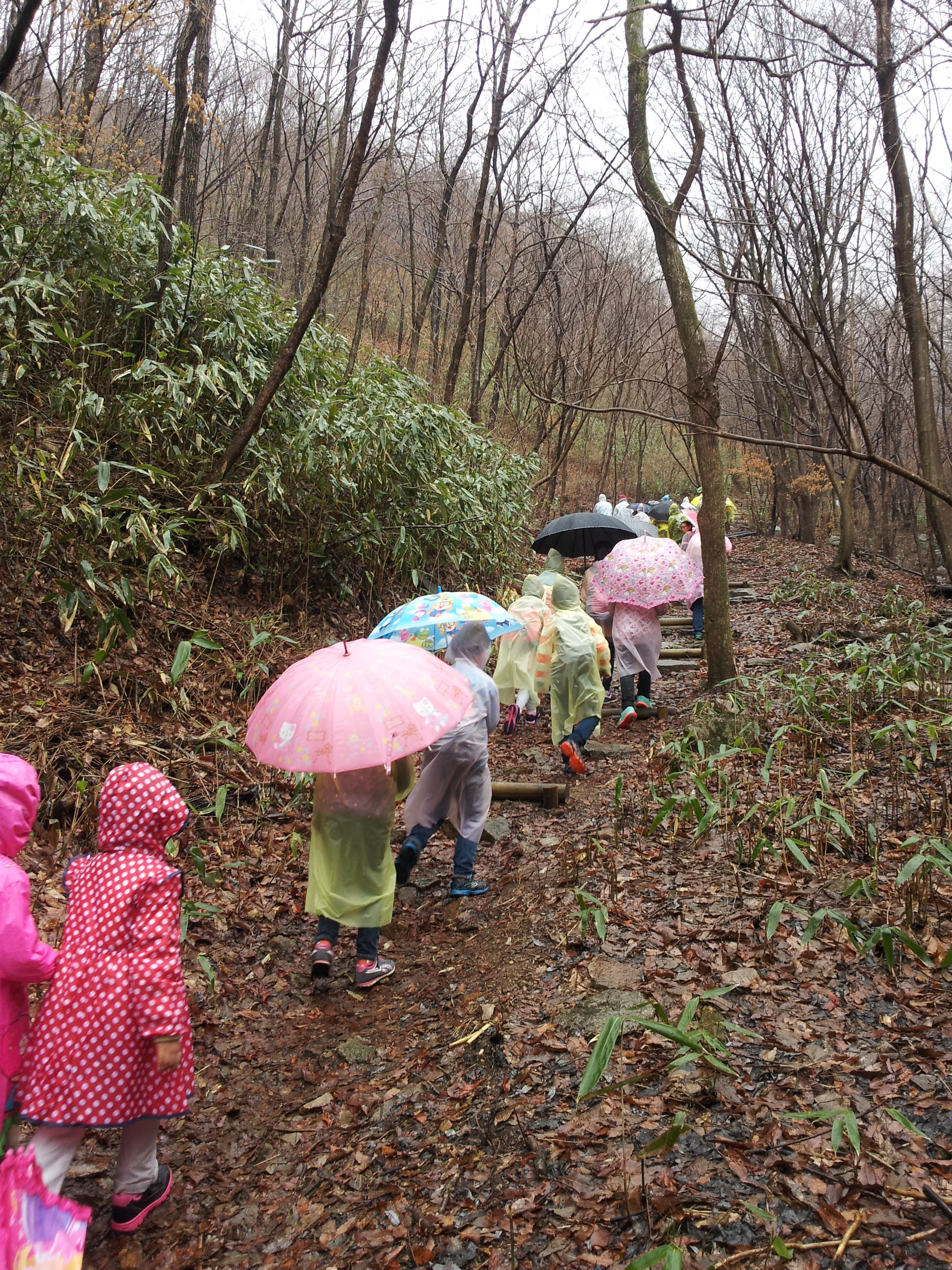 3����(2014.3.29) ������ �߿��� ���̻�