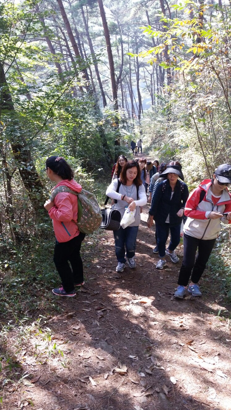 ���� ���� ǰ����