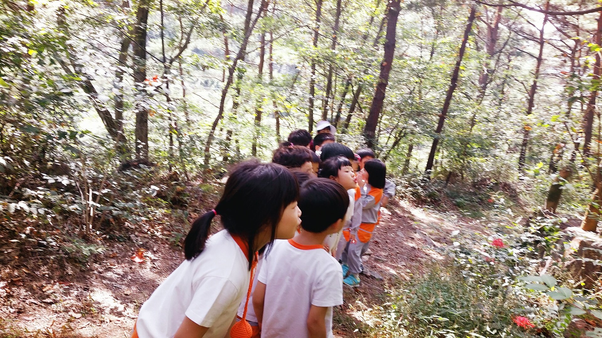 ���� ����. ���� ���� ���� ��ġ��