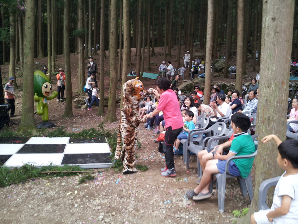 �强 ��ɻ� ��� ��������