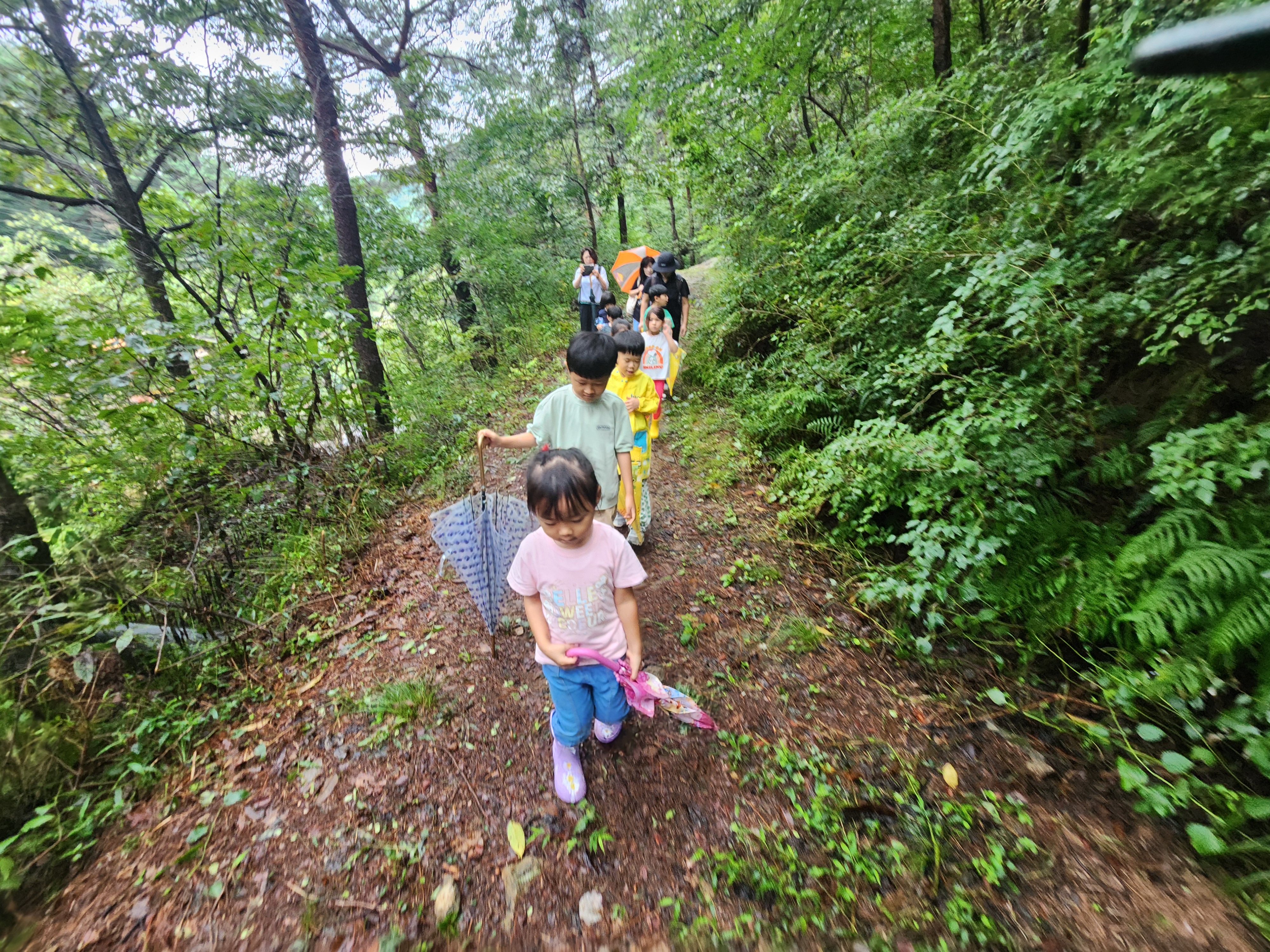 �̹��� 1:�������� ����