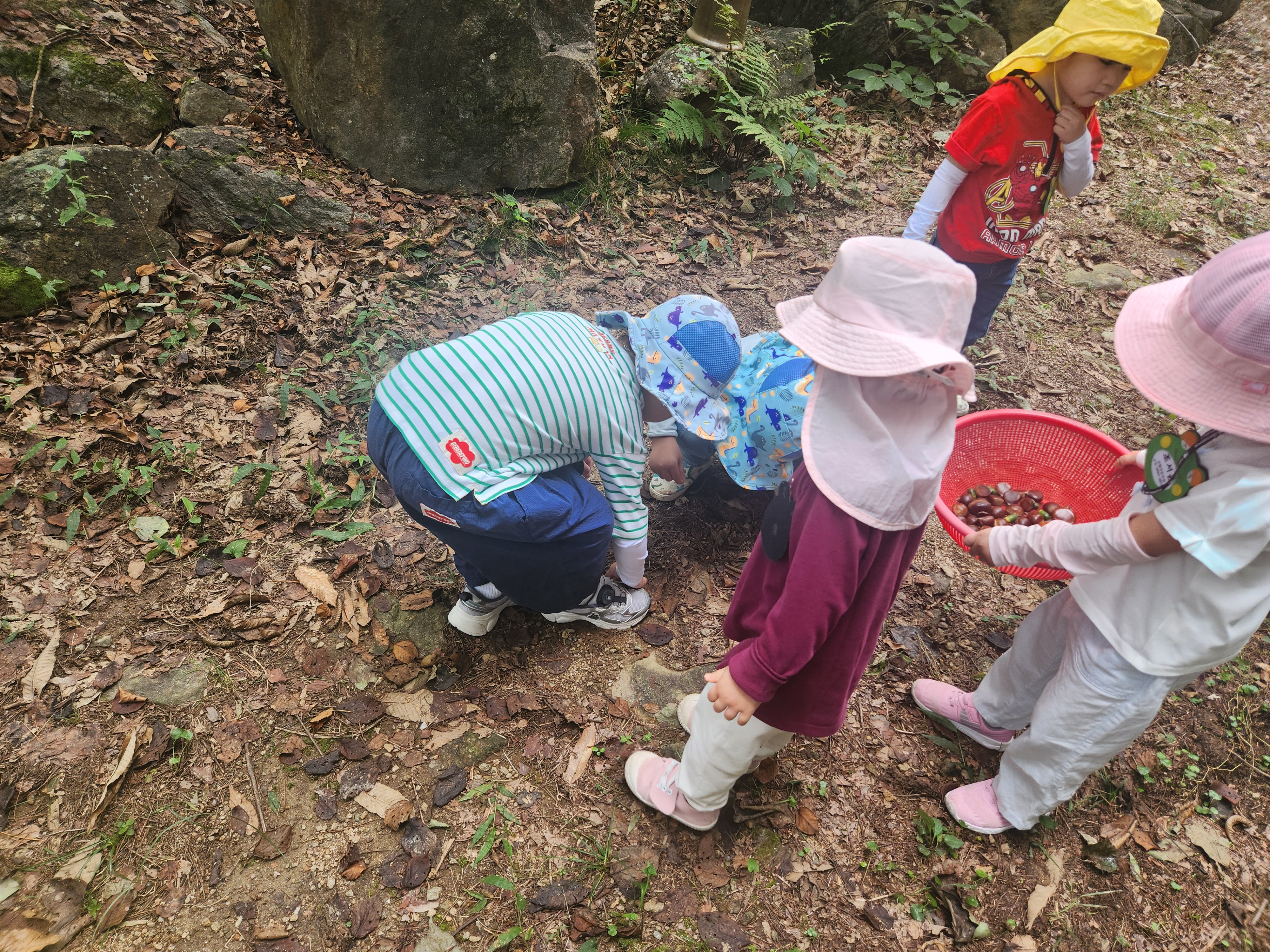 �̹��� 1:���̴�  �����̴�