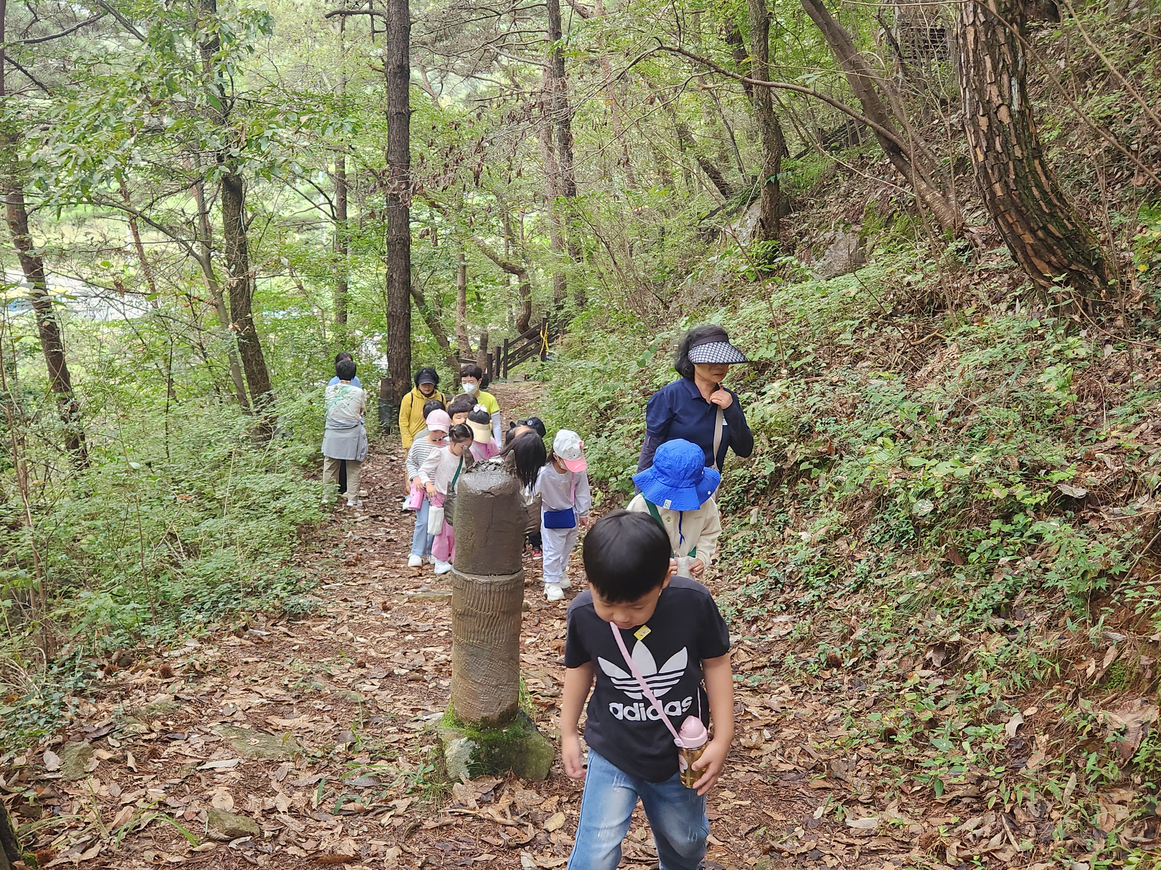 �̹��� 1:���� ������...