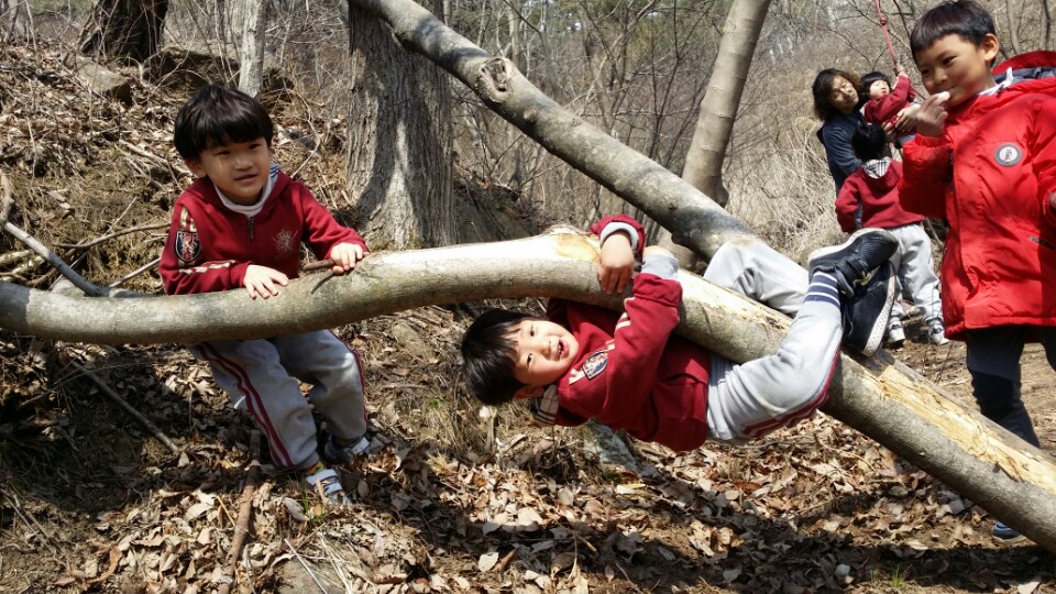 �̹��� 2:���Ǳ��(����ڱ�) ��ü�豳�����--������3ȸ��/2017.3.28