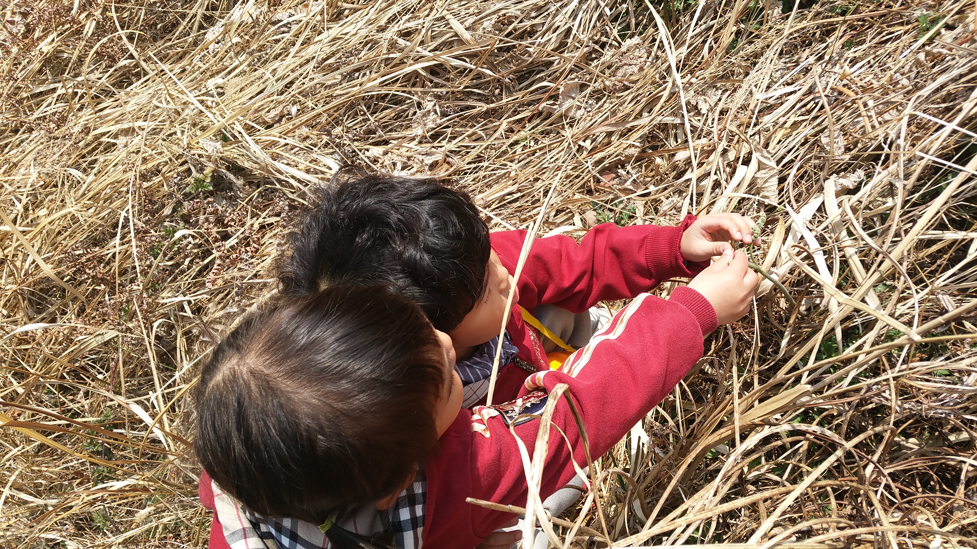 �̹��� 2:���Ǳ��(����ڱ�) ��ü�豳�����--������4ȸ��/2017.4.4