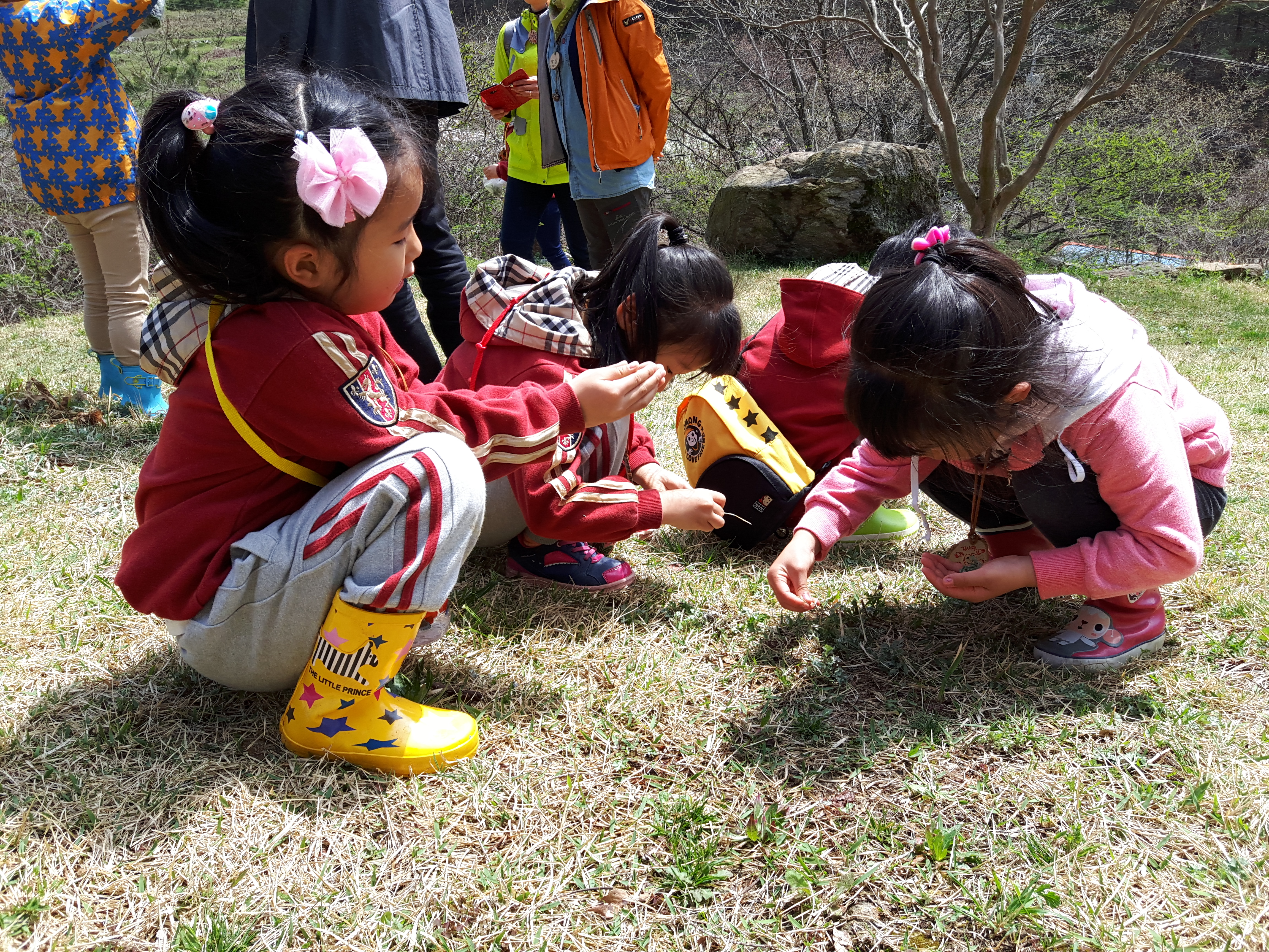 �̹��� 2:���Ǳ��(����ڱ�) ��ü�豳�����--������5ȸ��/2017.4.11