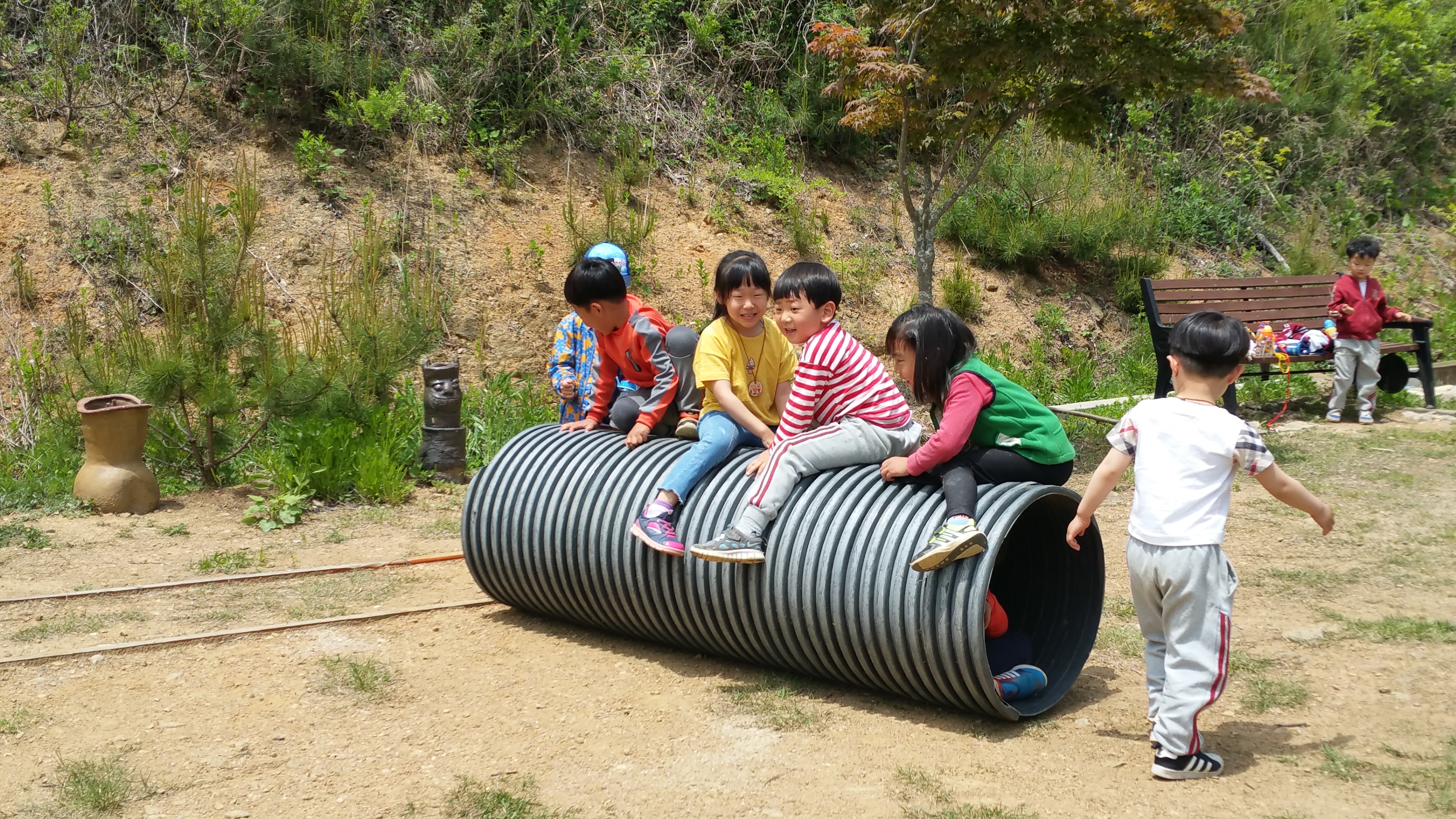 �̹��� 2:��ü�豳����� 2017.5.2