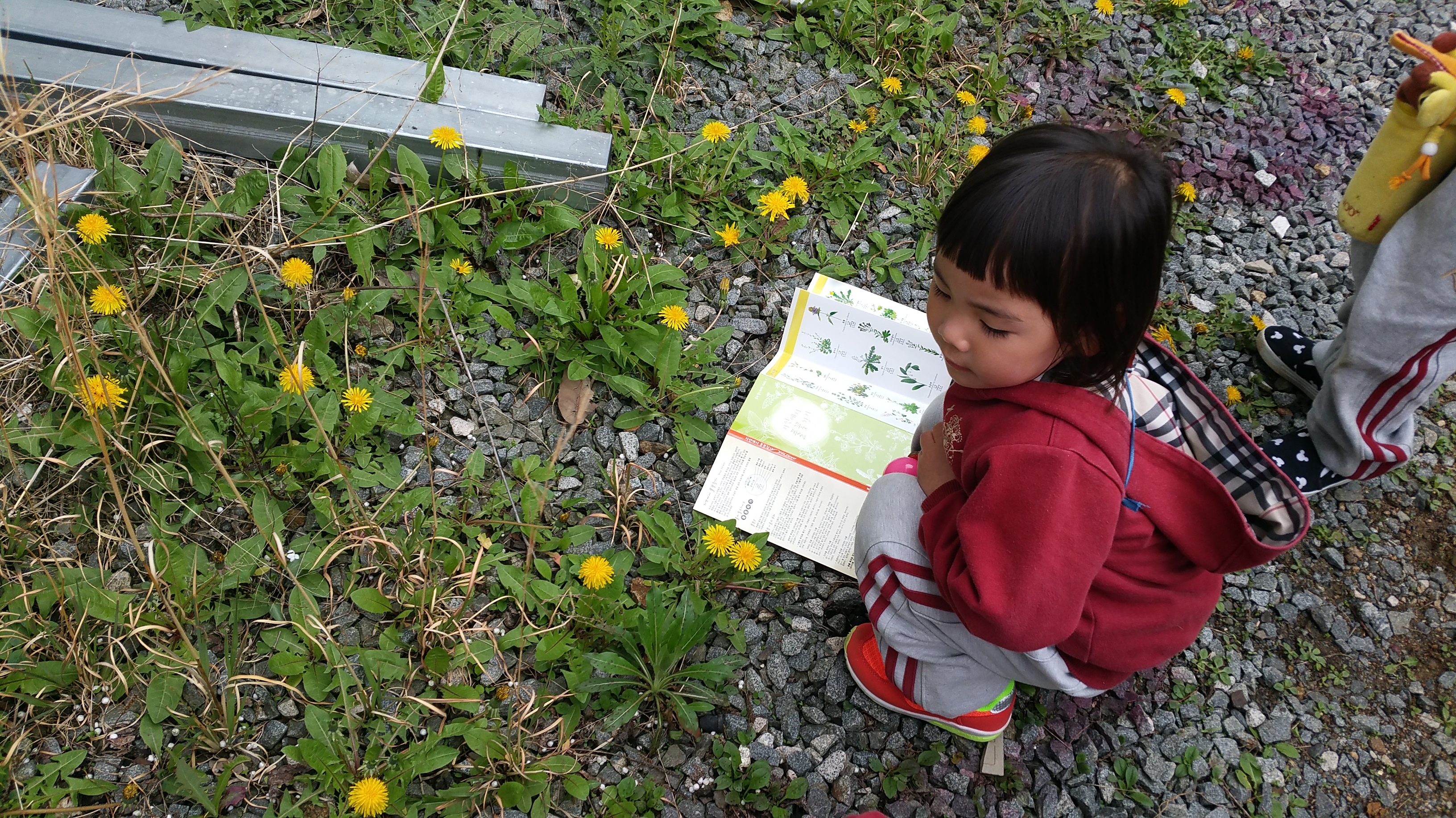 �̹��� 2:2017.4.18-��ü�豳�����