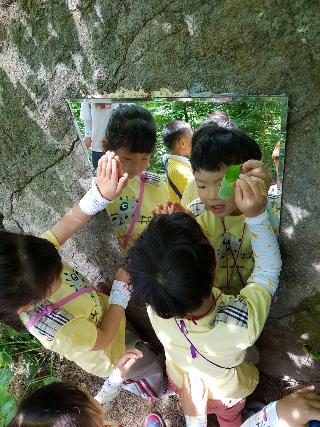 �̹��� 2:5.23-��ü�豳�����