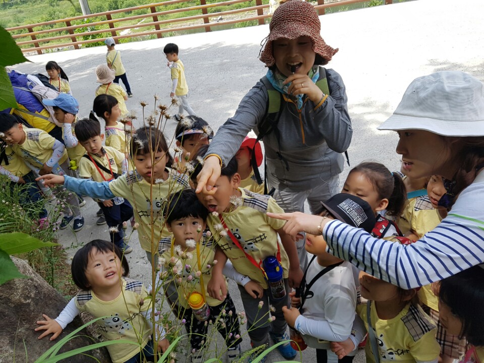 �̹��� 2:5.30-��ü�豳�����