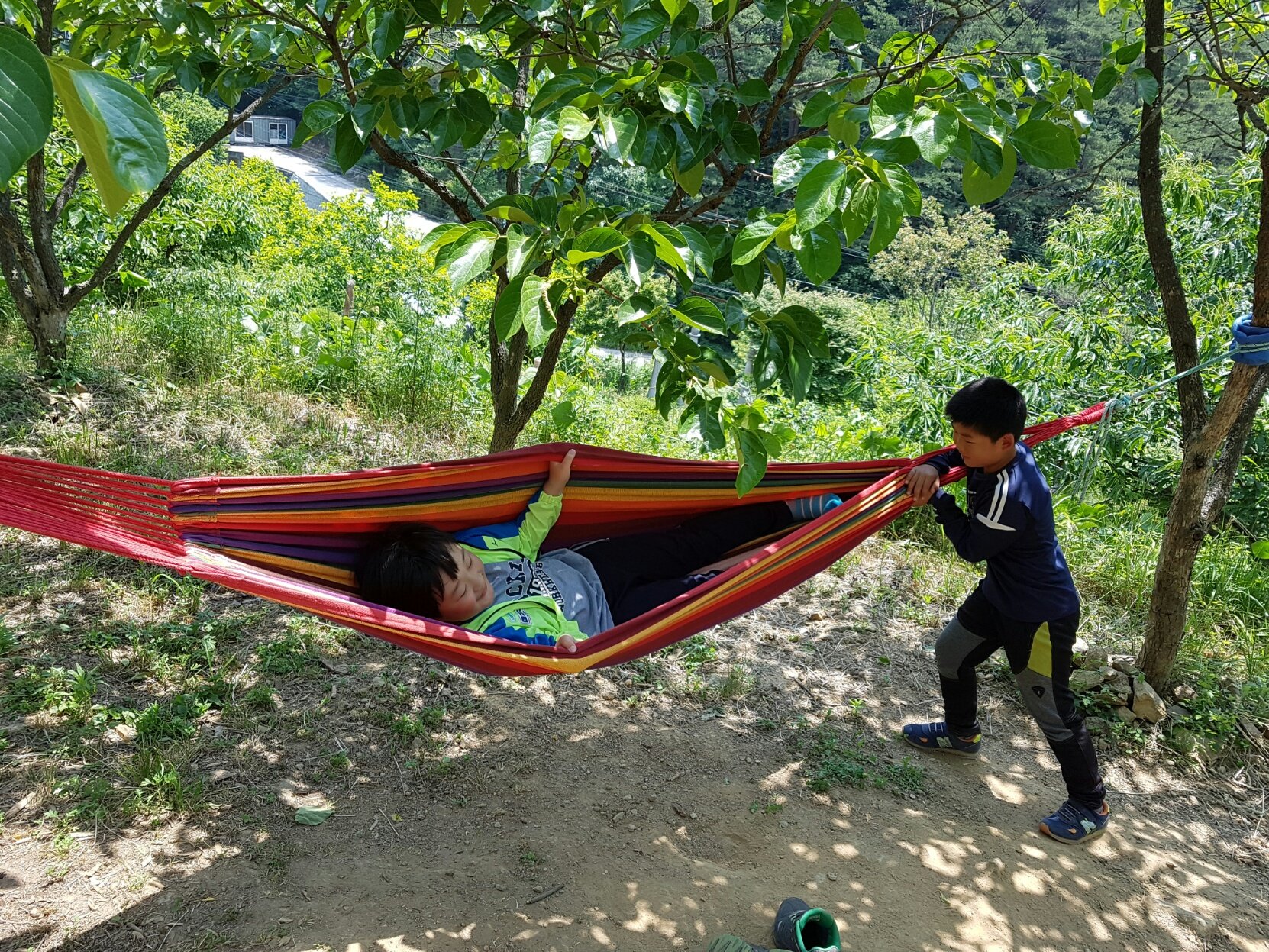 �̹��� 2:5.29-������ 3�г� ������ ����