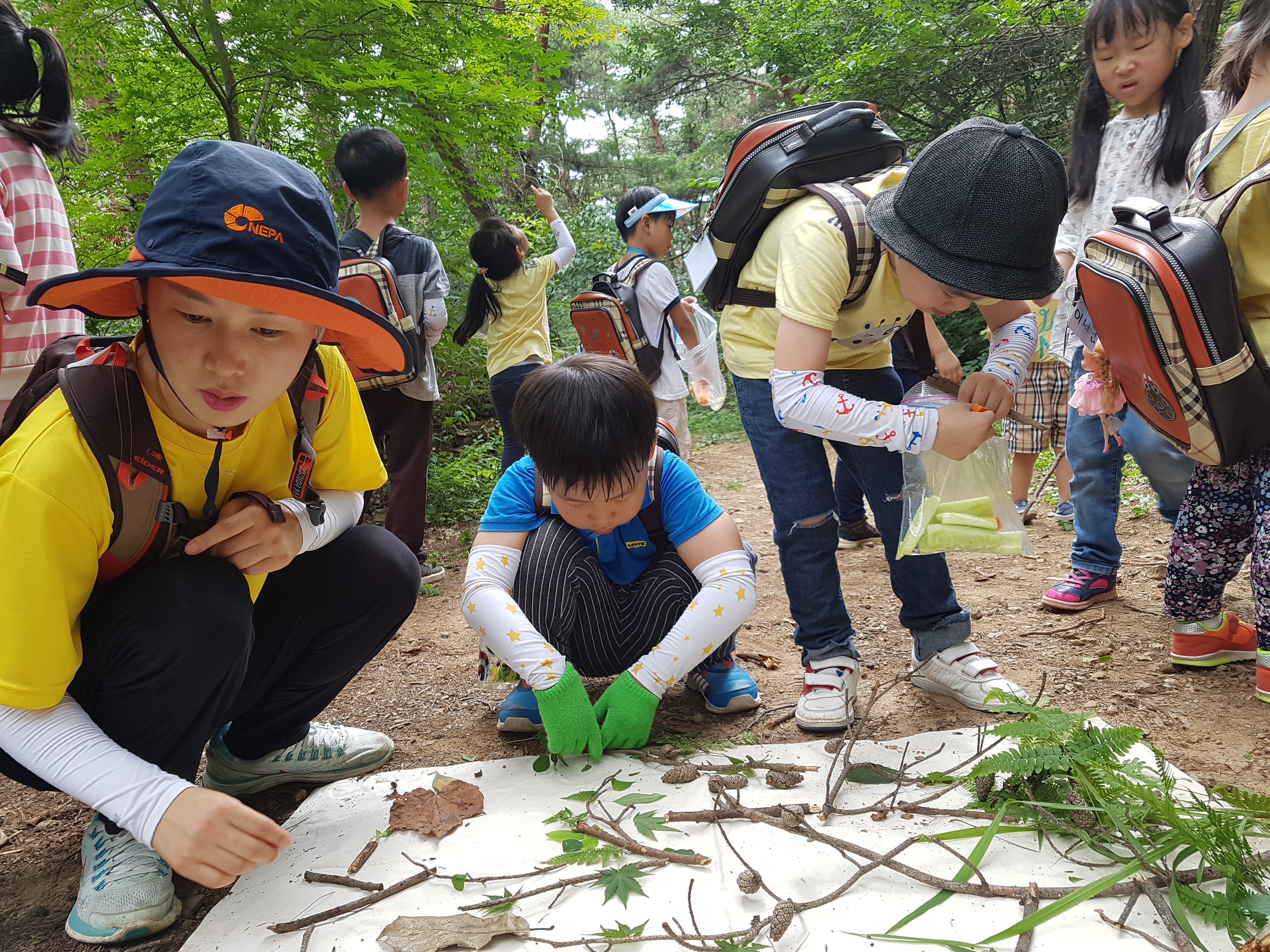 �̹��� 2:8.8 ��ü�豳��