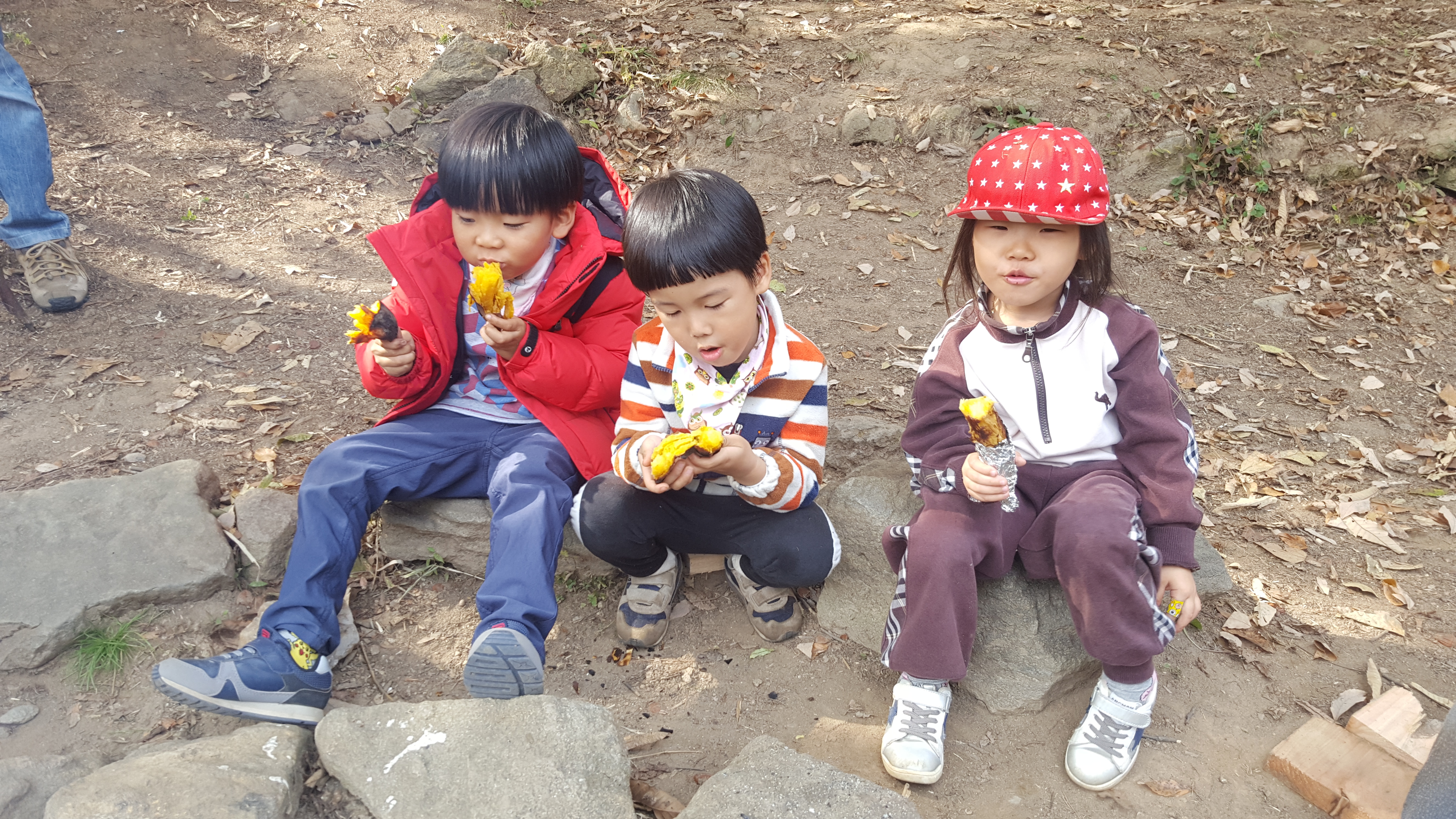 �̹��� 2:������ ����