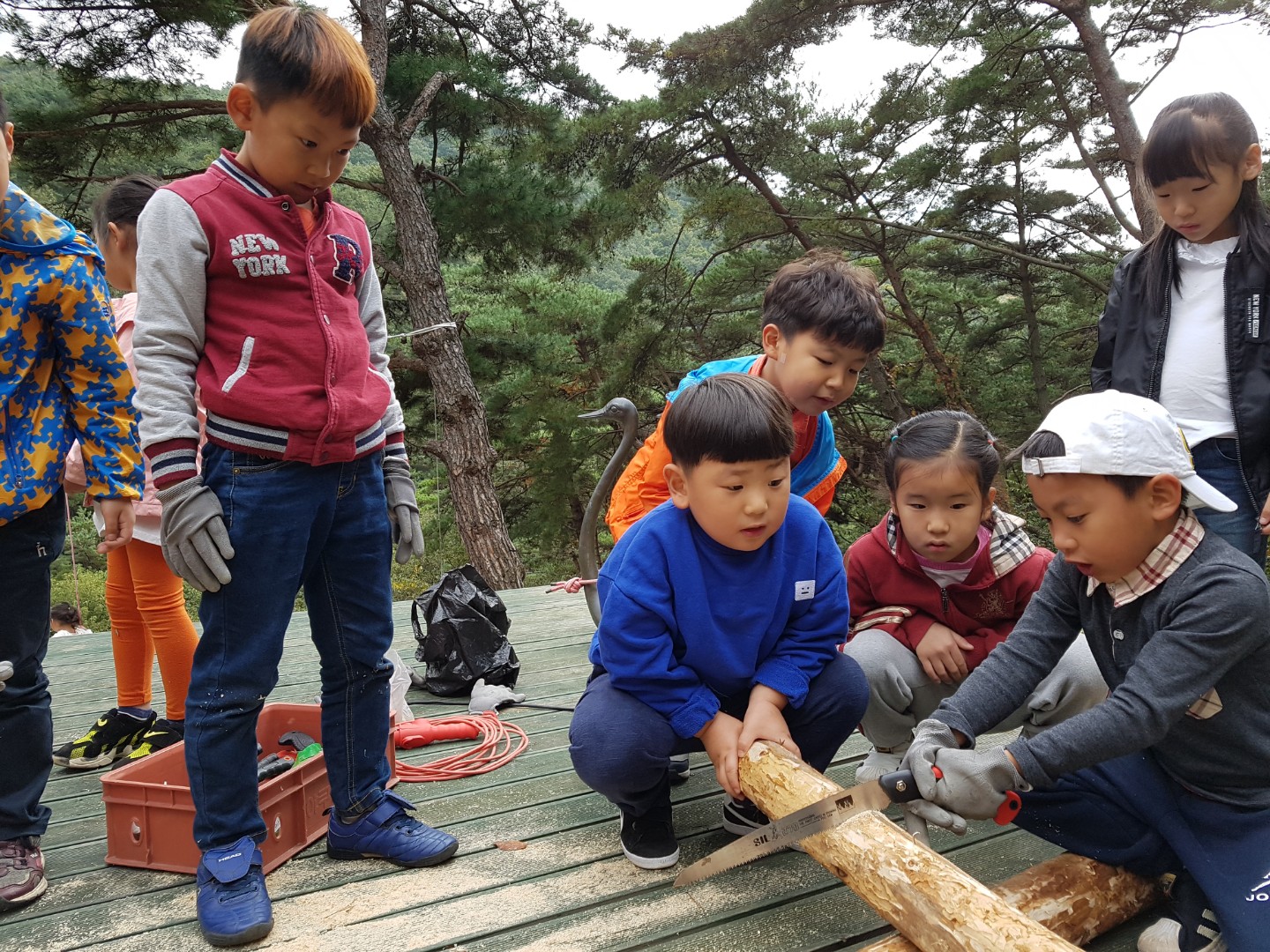 �̹��� 2:������ ����