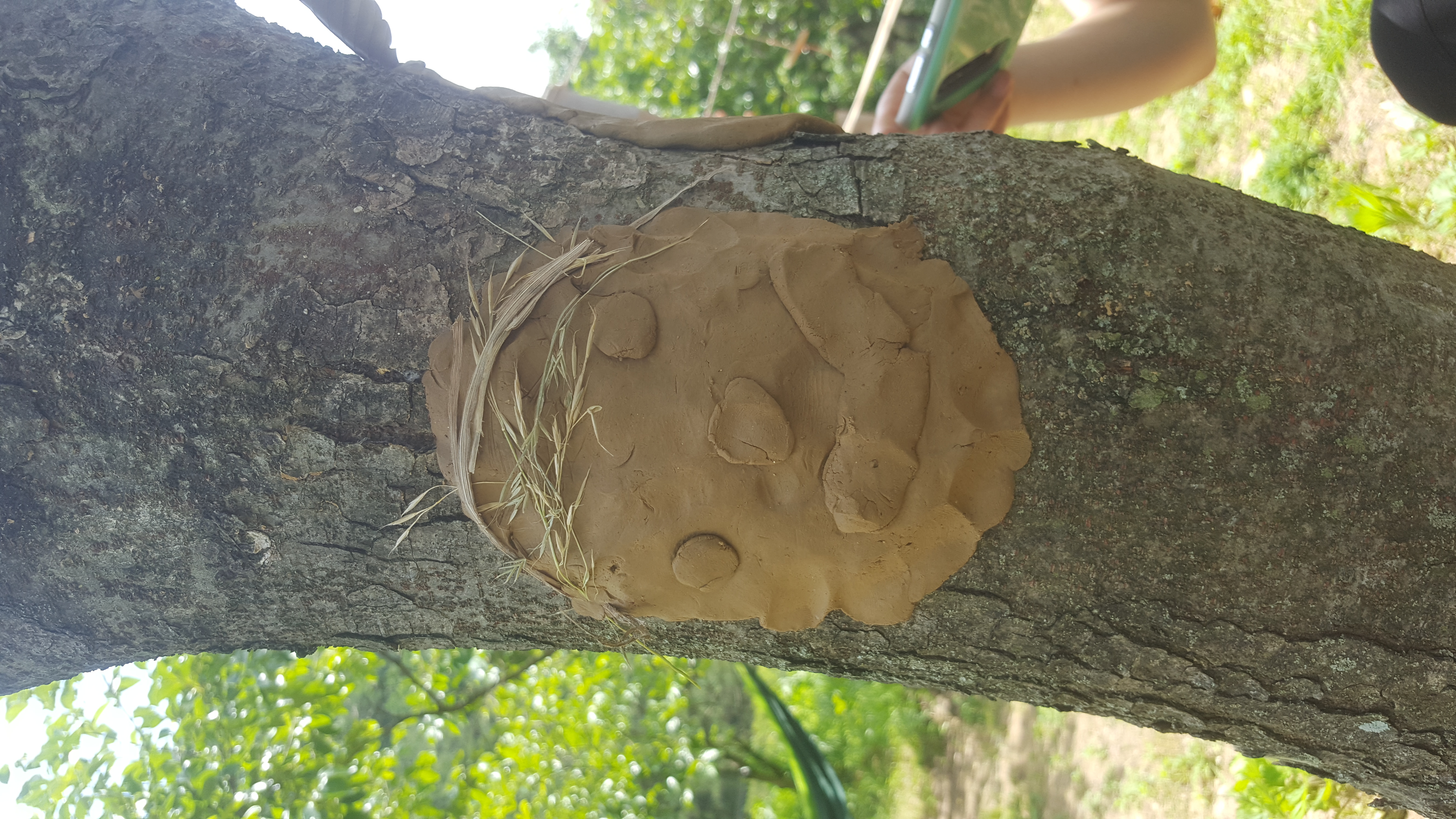 �̹��� 2:�������