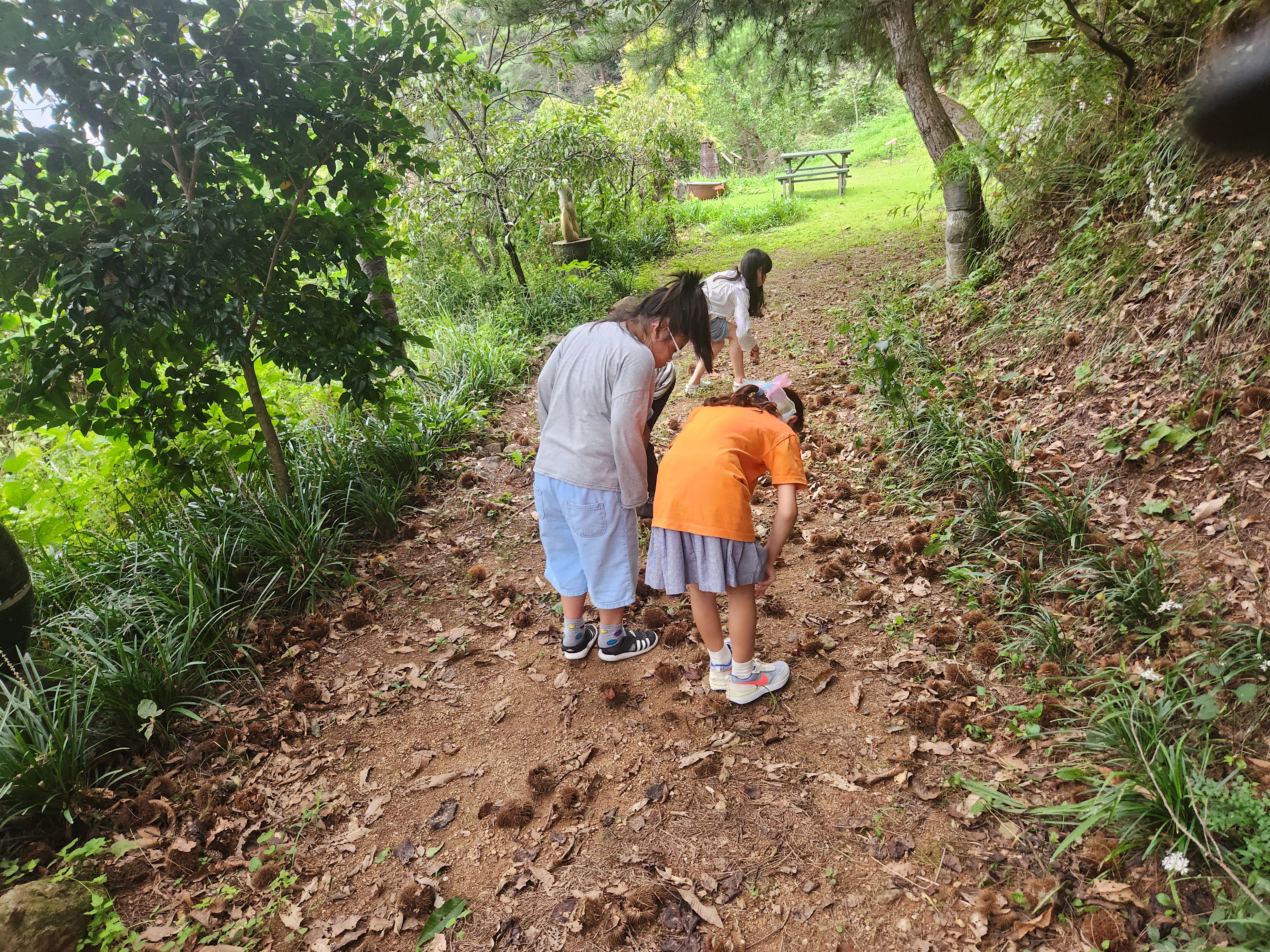 �̹��� 2:���̴�  �����̴�