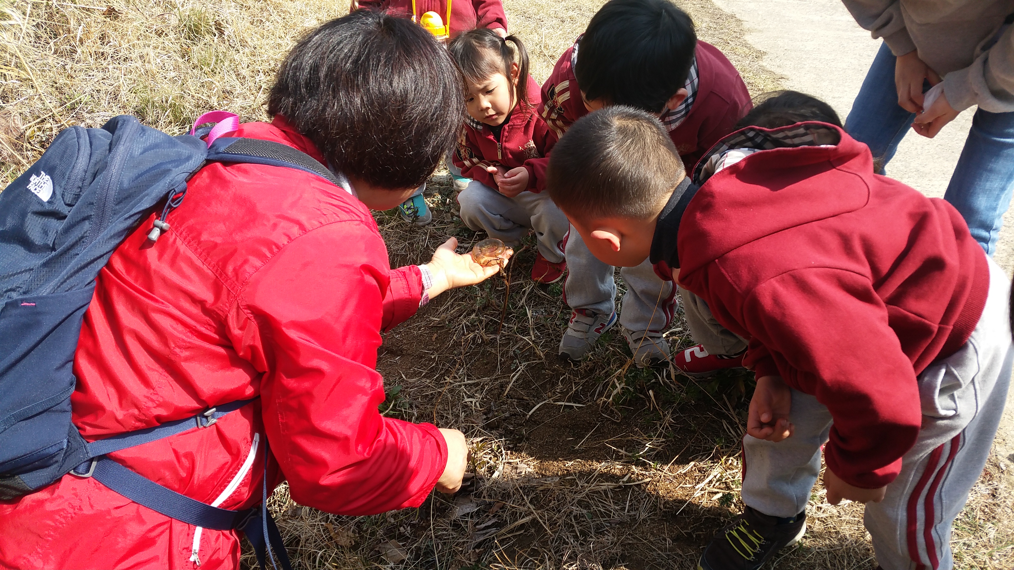 �̹��� 3:���Ǳ��(����ڱ�) ��ü�豳�����--������3ȸ��/2017.3.28