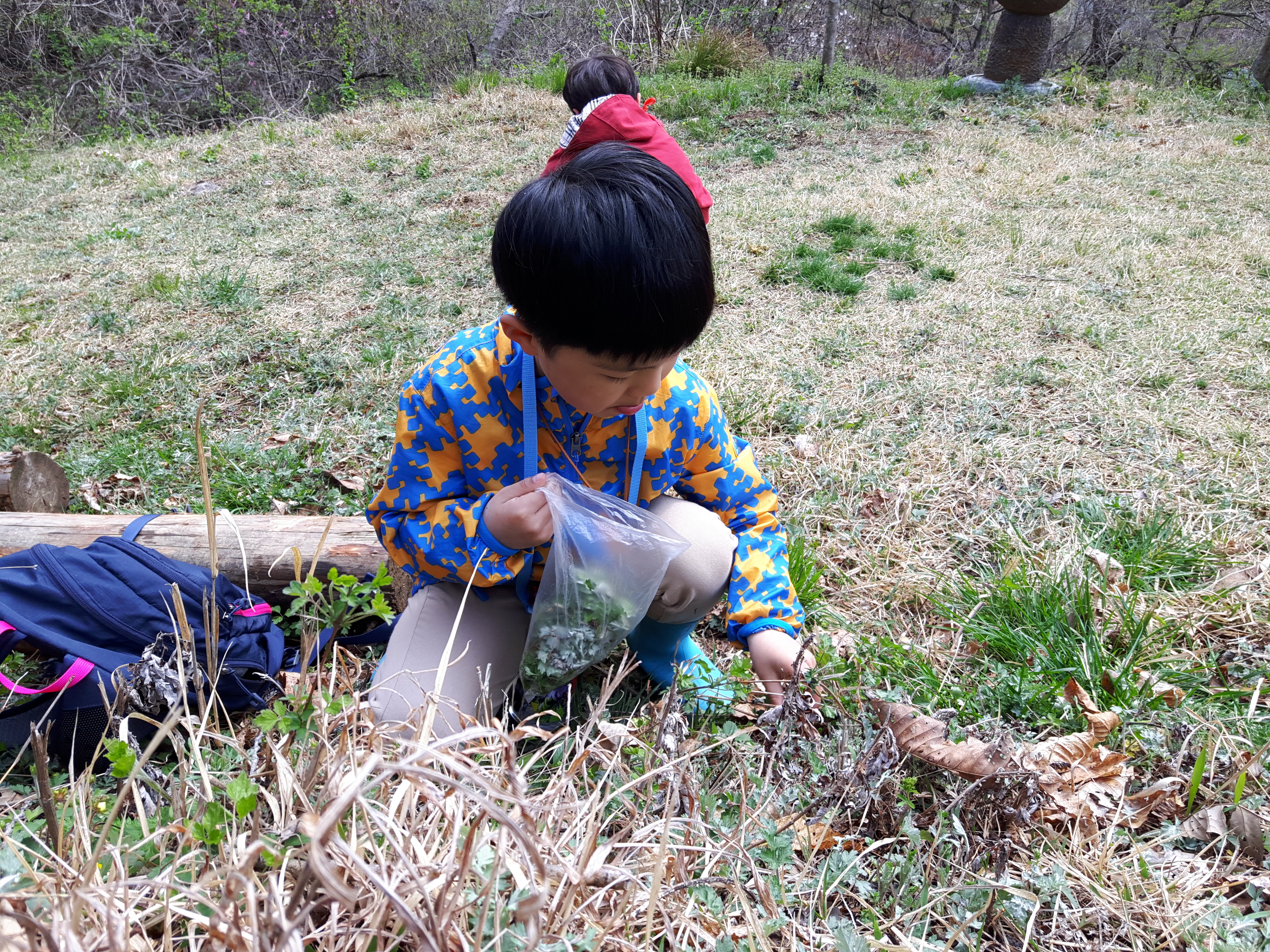 �̹��� 3:���Ǳ��(����ڱ�) ��ü�豳�����--������5ȸ��/2017.4.11