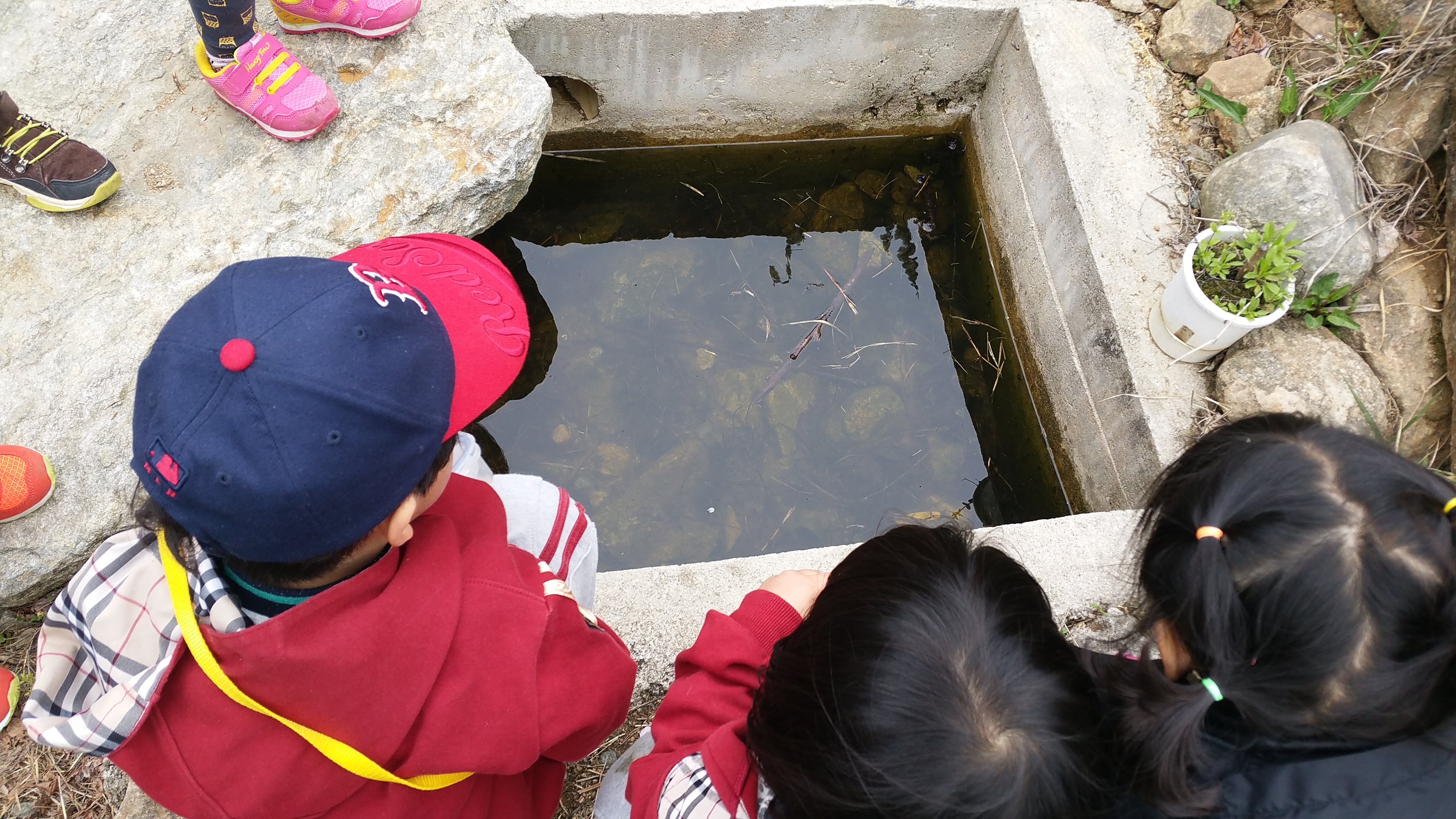 �̹��� 3:2017.4.18-��ü�豳�����