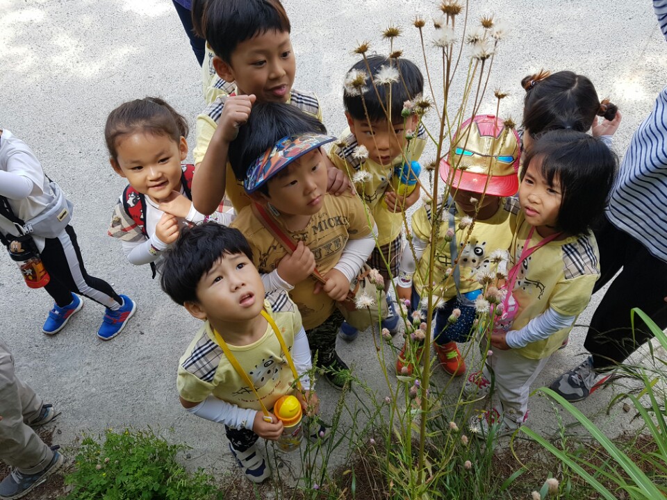 �̹��� 3:5.30-��ü�豳�����