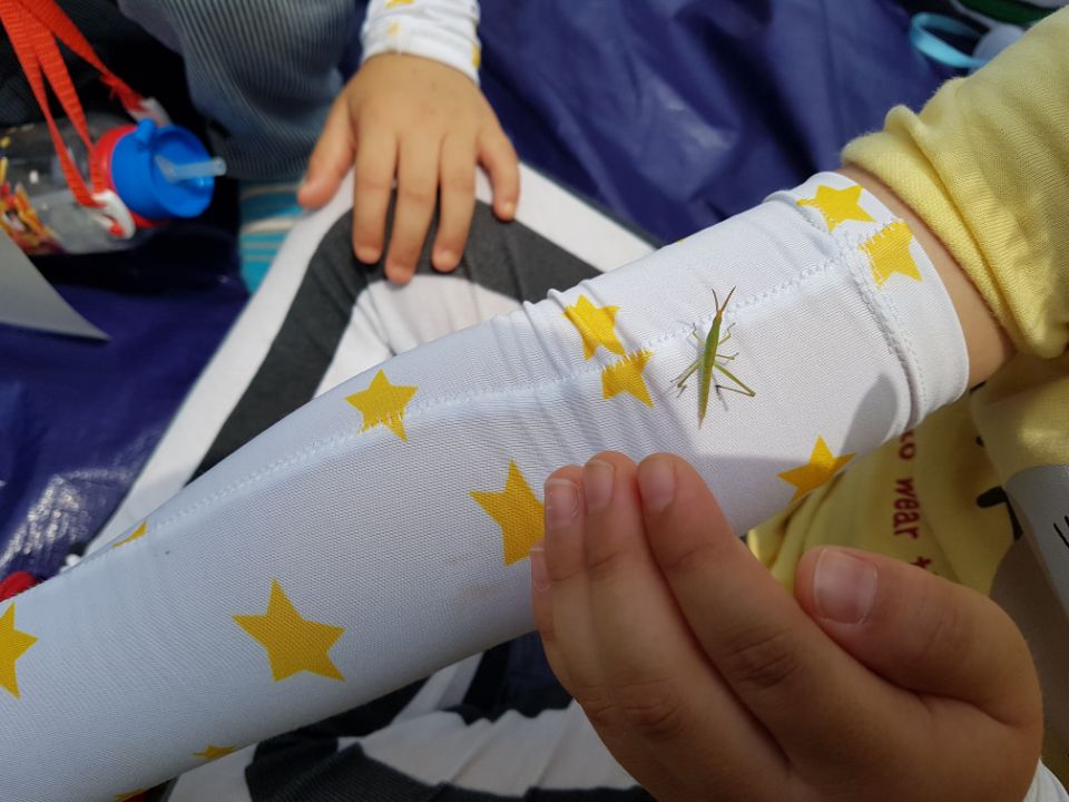 �̹��� 3:6.23 Ȱ�����